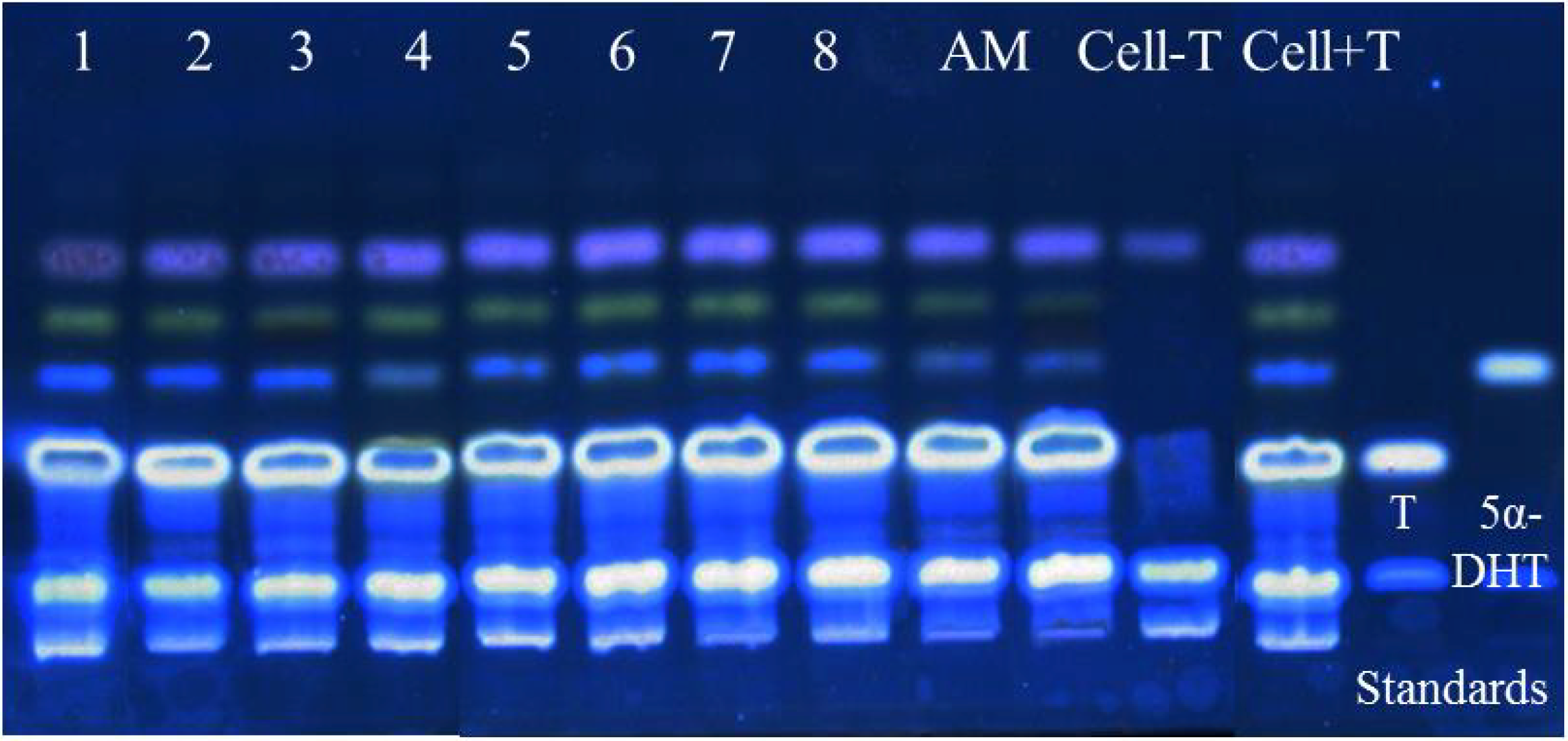 Molecules 19 06809 g004