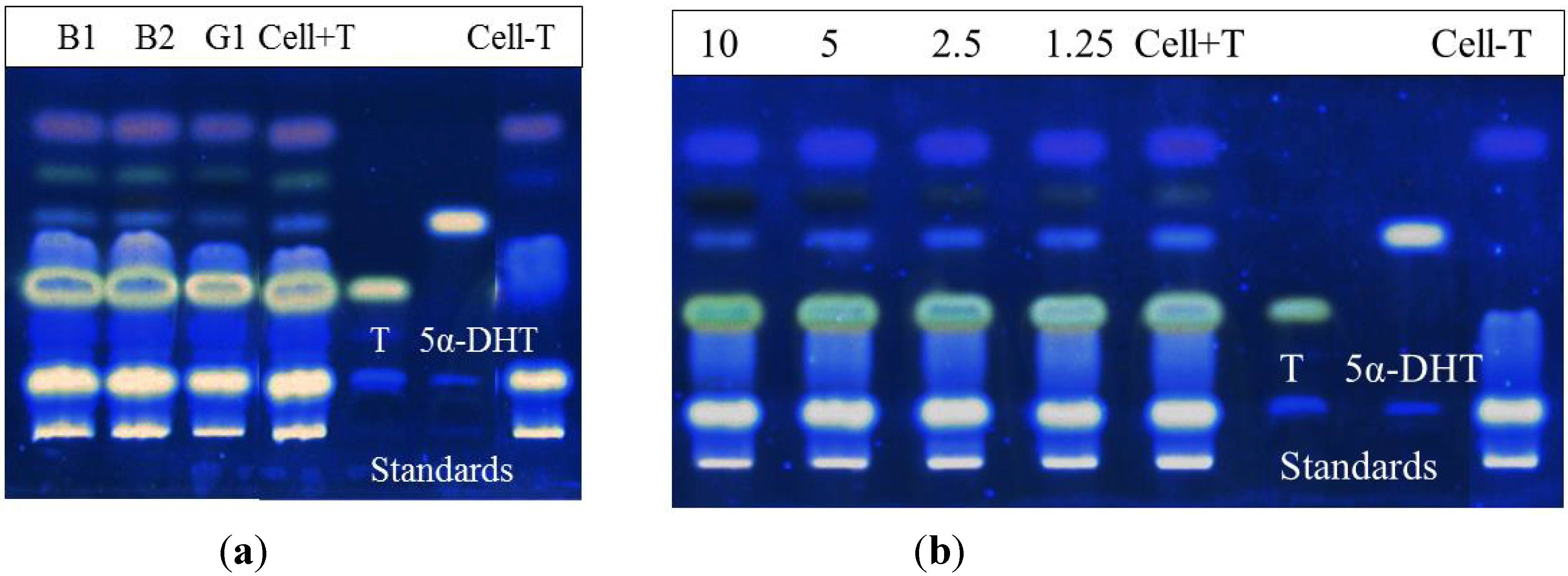 Molecules 19 06809 g005