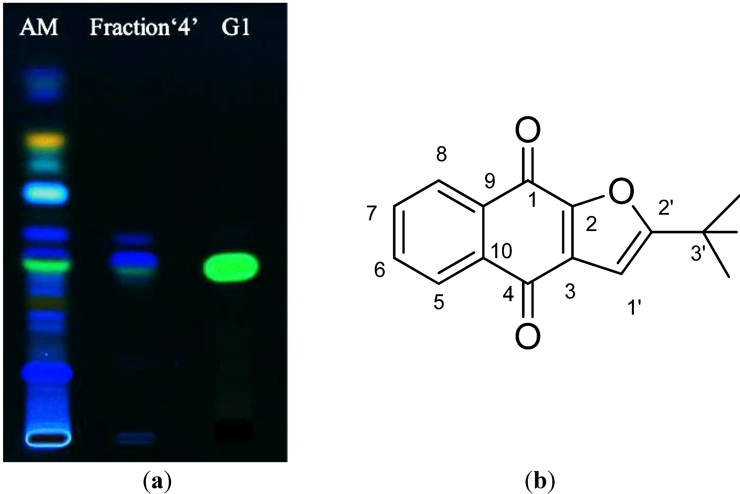 Molecules 19 06809 g006