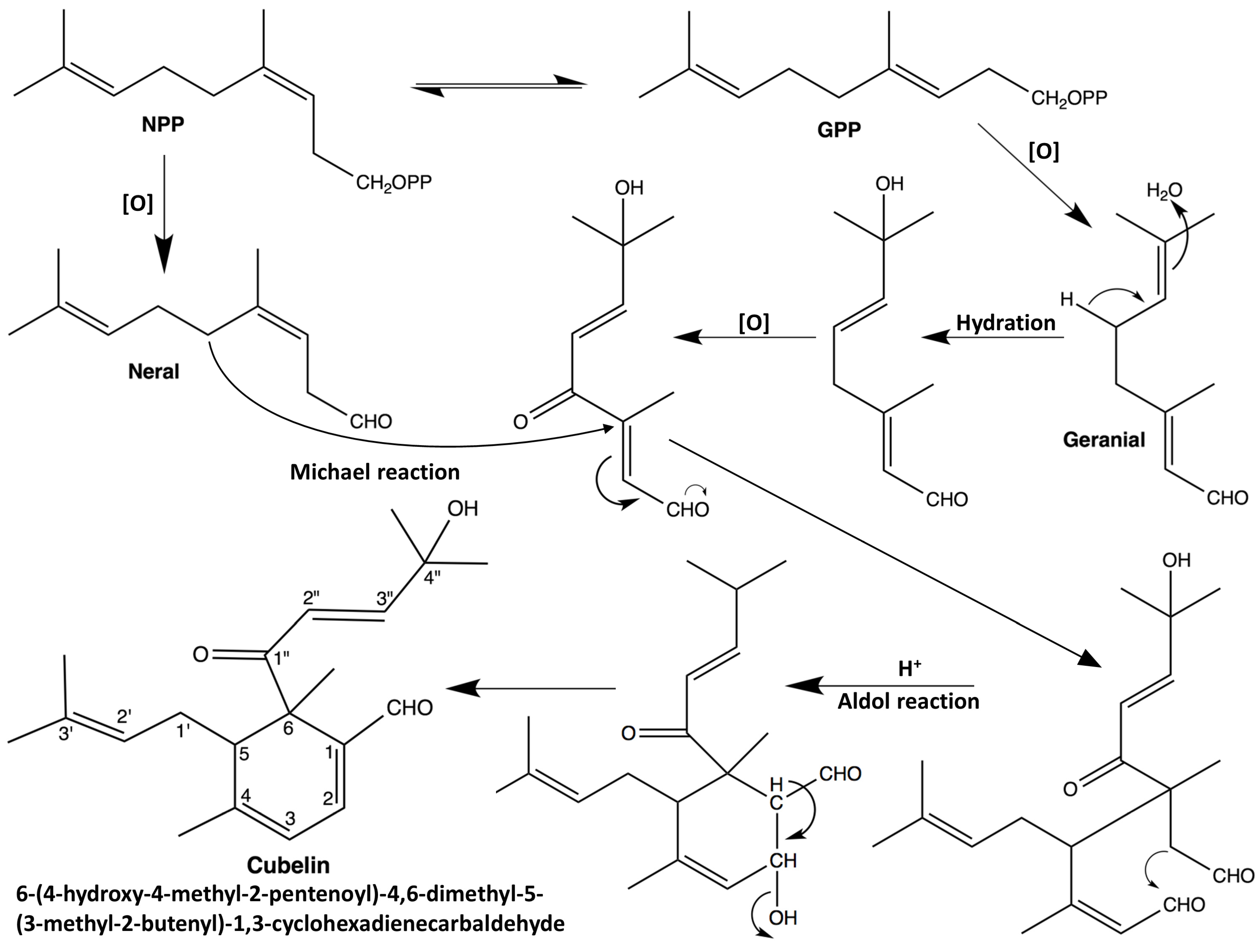 Molecules 19 06838 g003