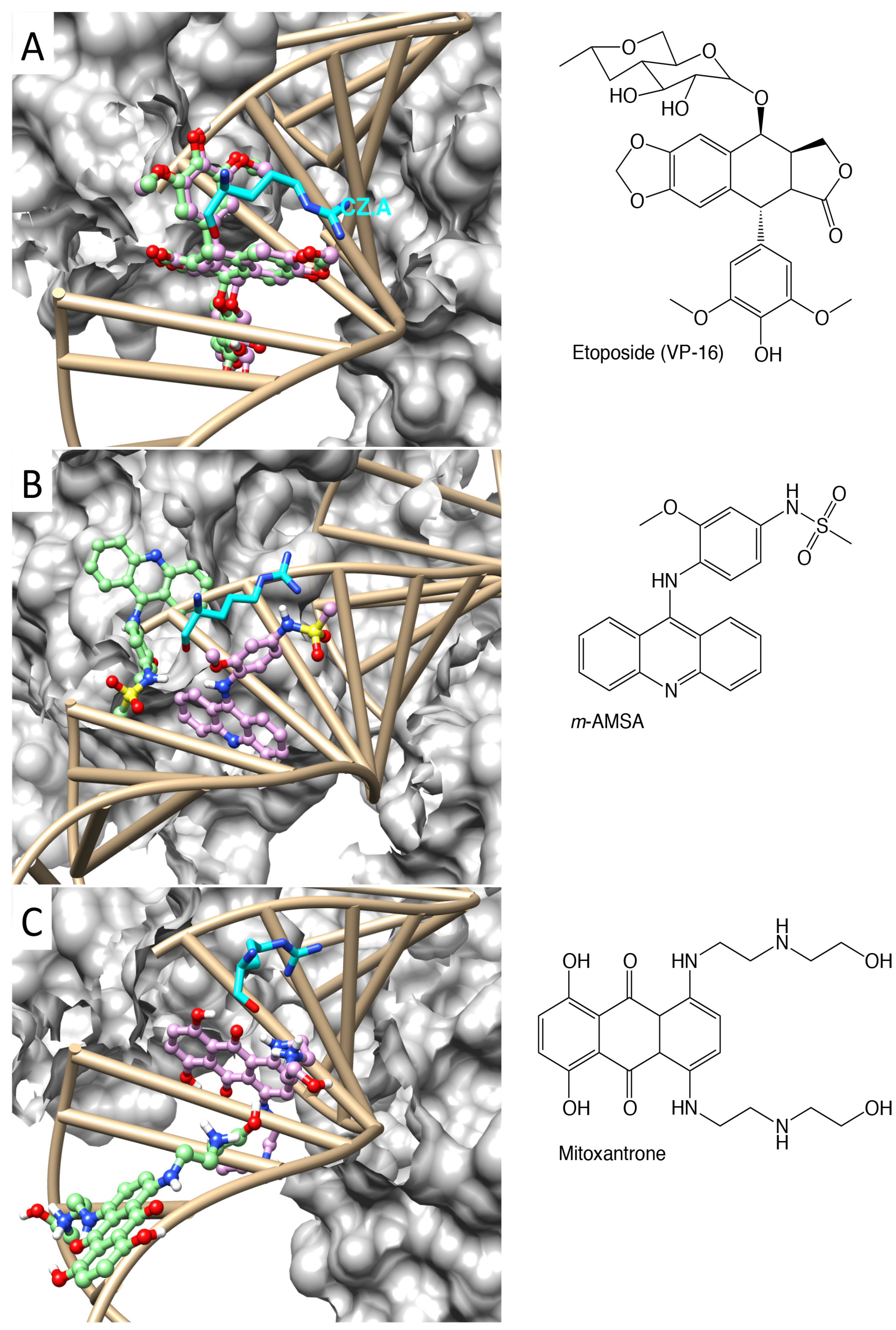 Molecules 19 07415 g001