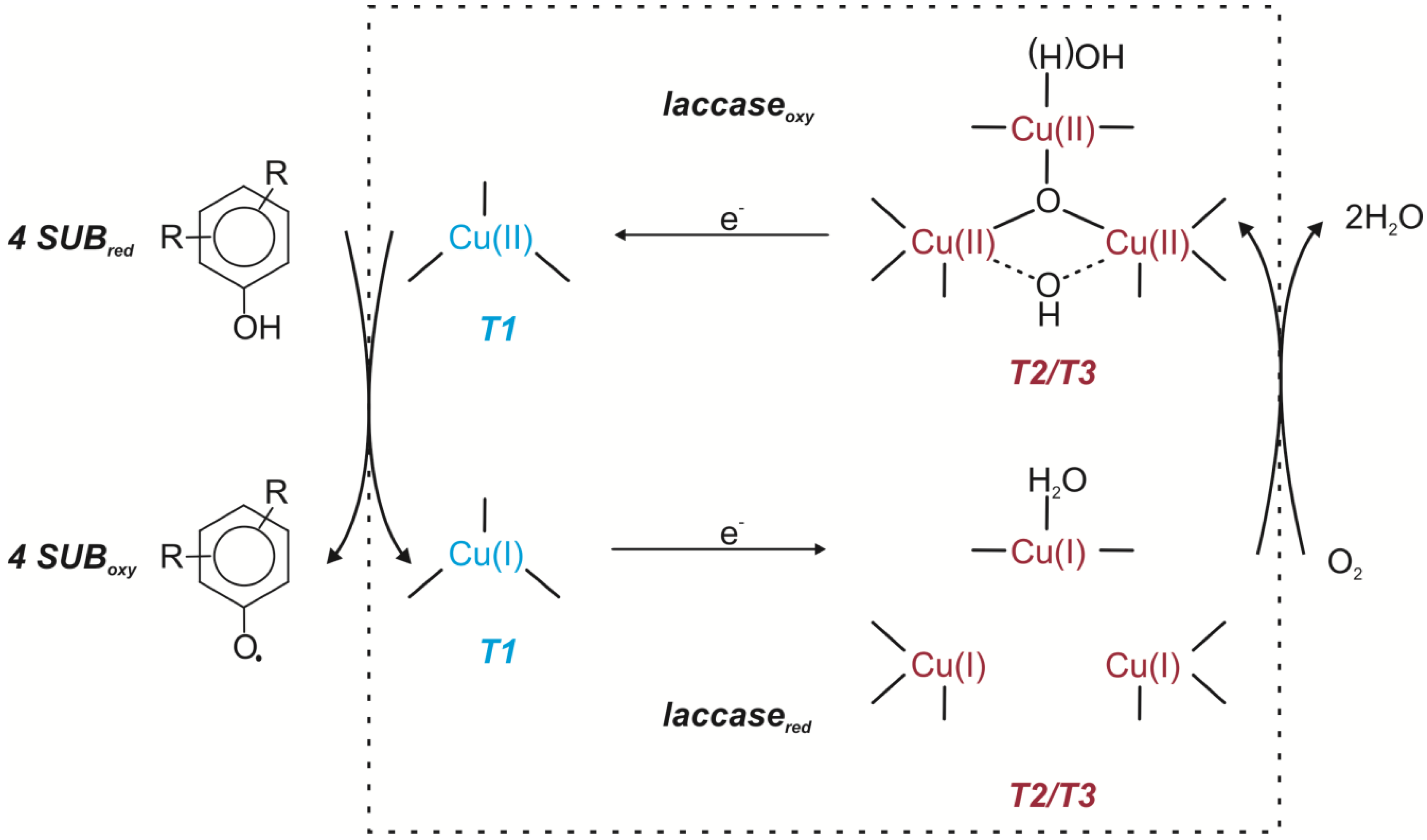 temperature dependent impact tests essay The effect of temperature on enzyme activity has been described by two stability experiments, and has utilized enzymes whose reactions are. temperature dependent impact tests essay The effect of temperature on enzyme activity has been described by two stability experiments, and has utilized enzymes whose reactions are.