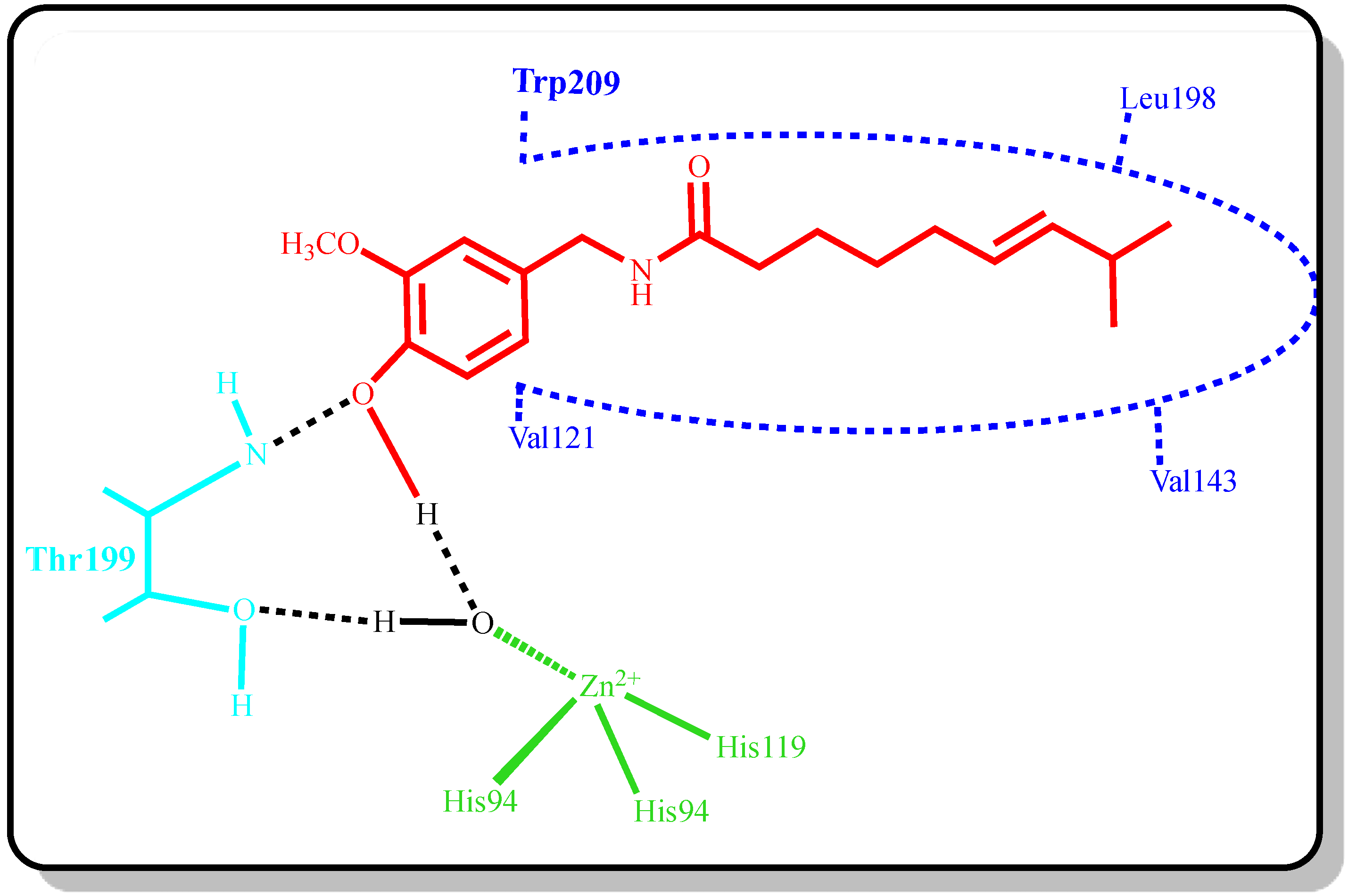 Molecules Free FullText Capsaicin A Potent Inhibitor of Carbonic