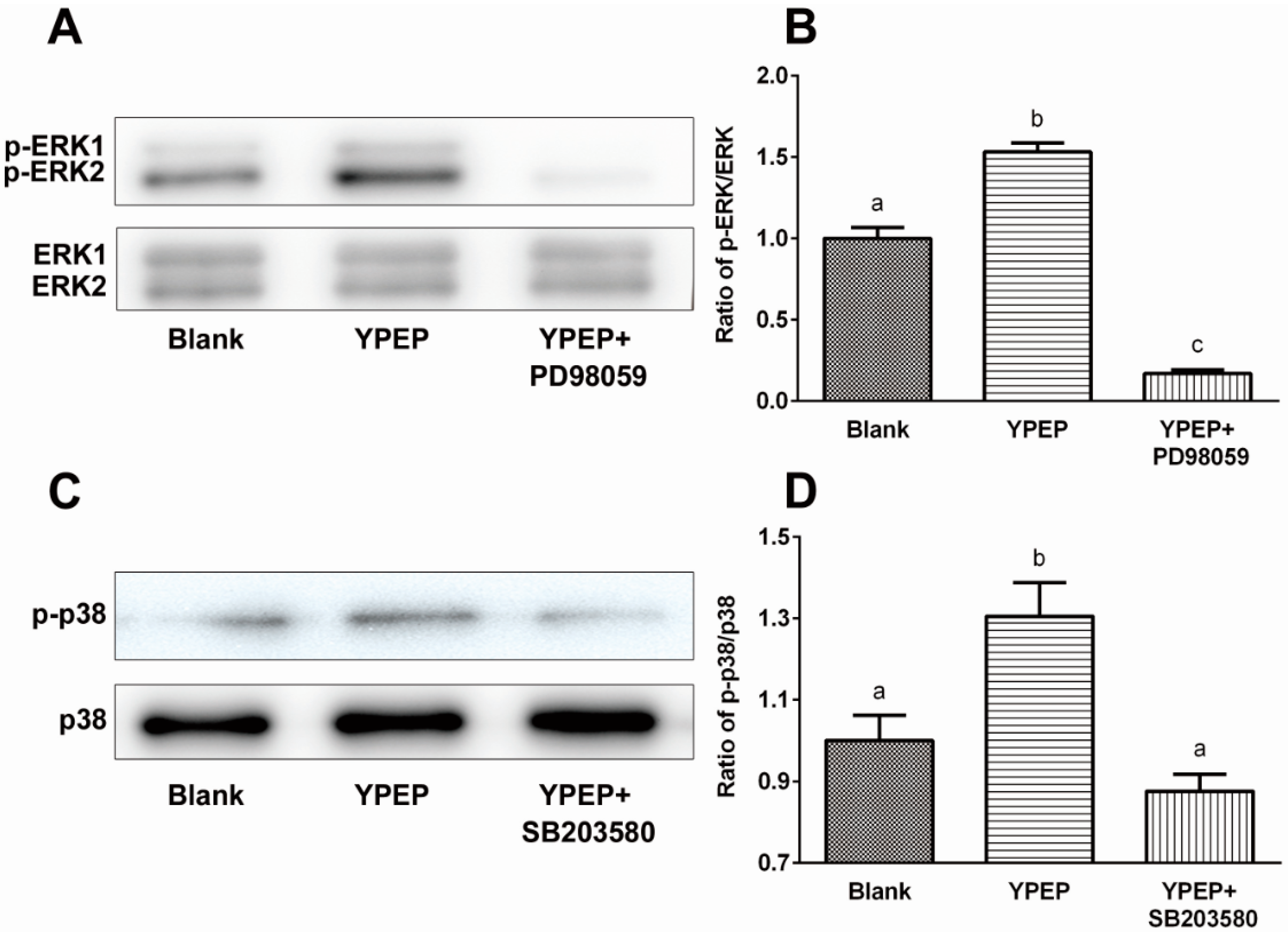 Molecules 19 12909 g003