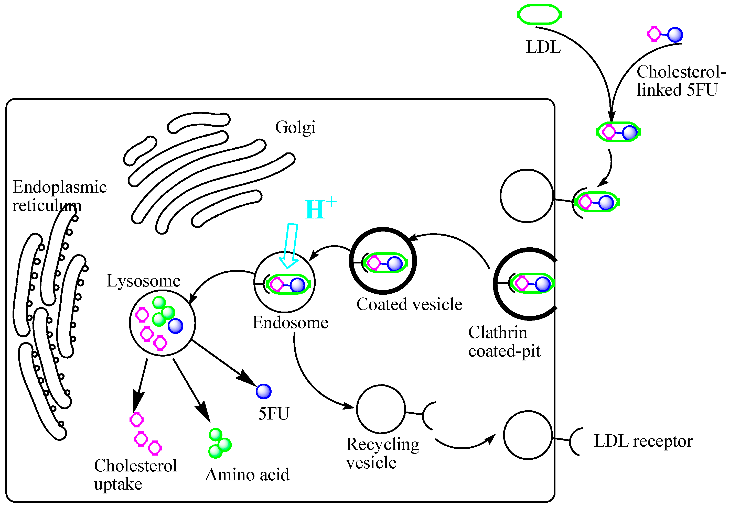 Molecules 19 13177 g003