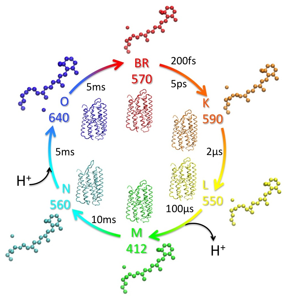 Molecules Special Issue Multiscale Chemical Modeling Using Quantum