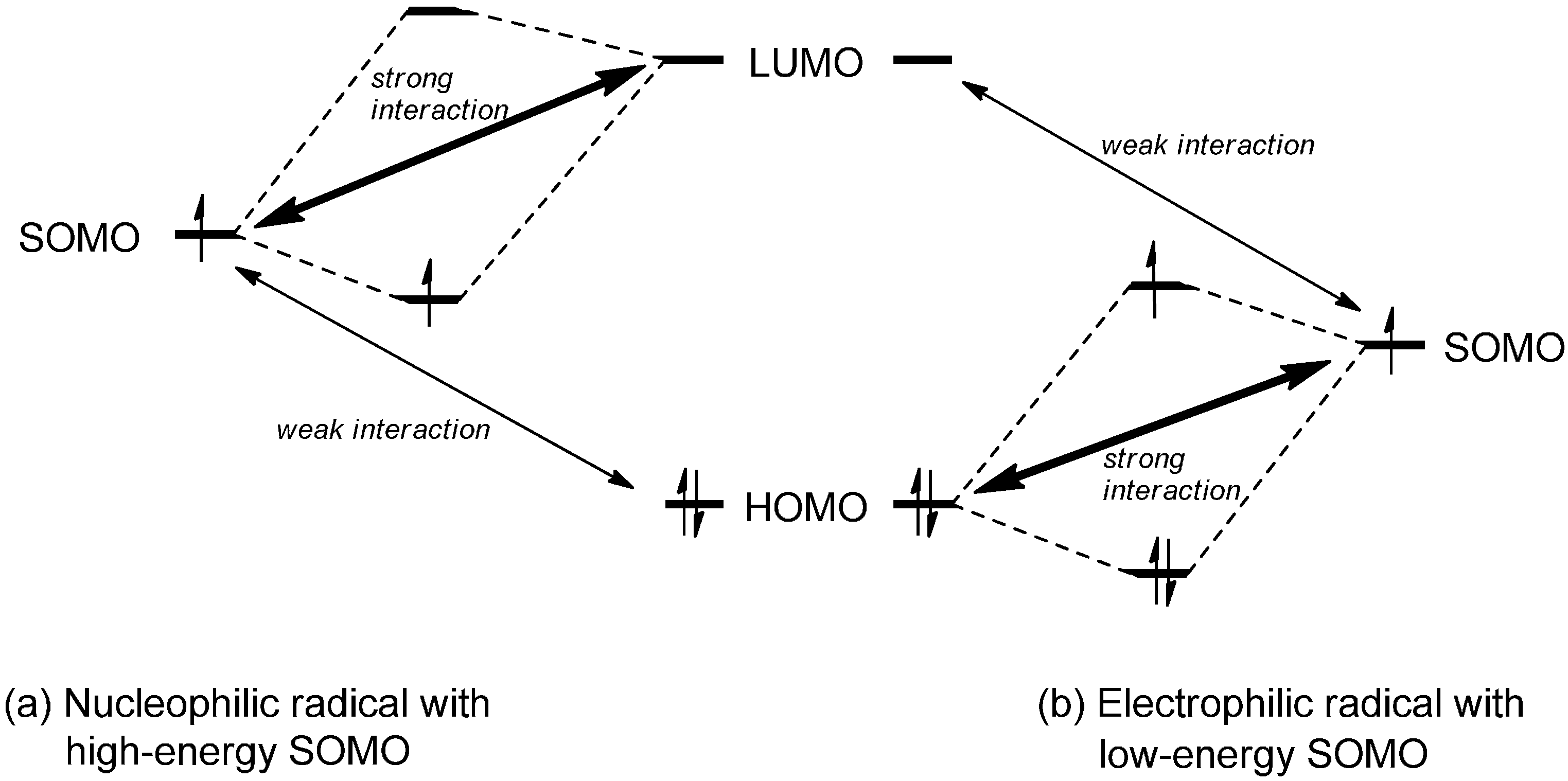 Molecules 19 16190 g001