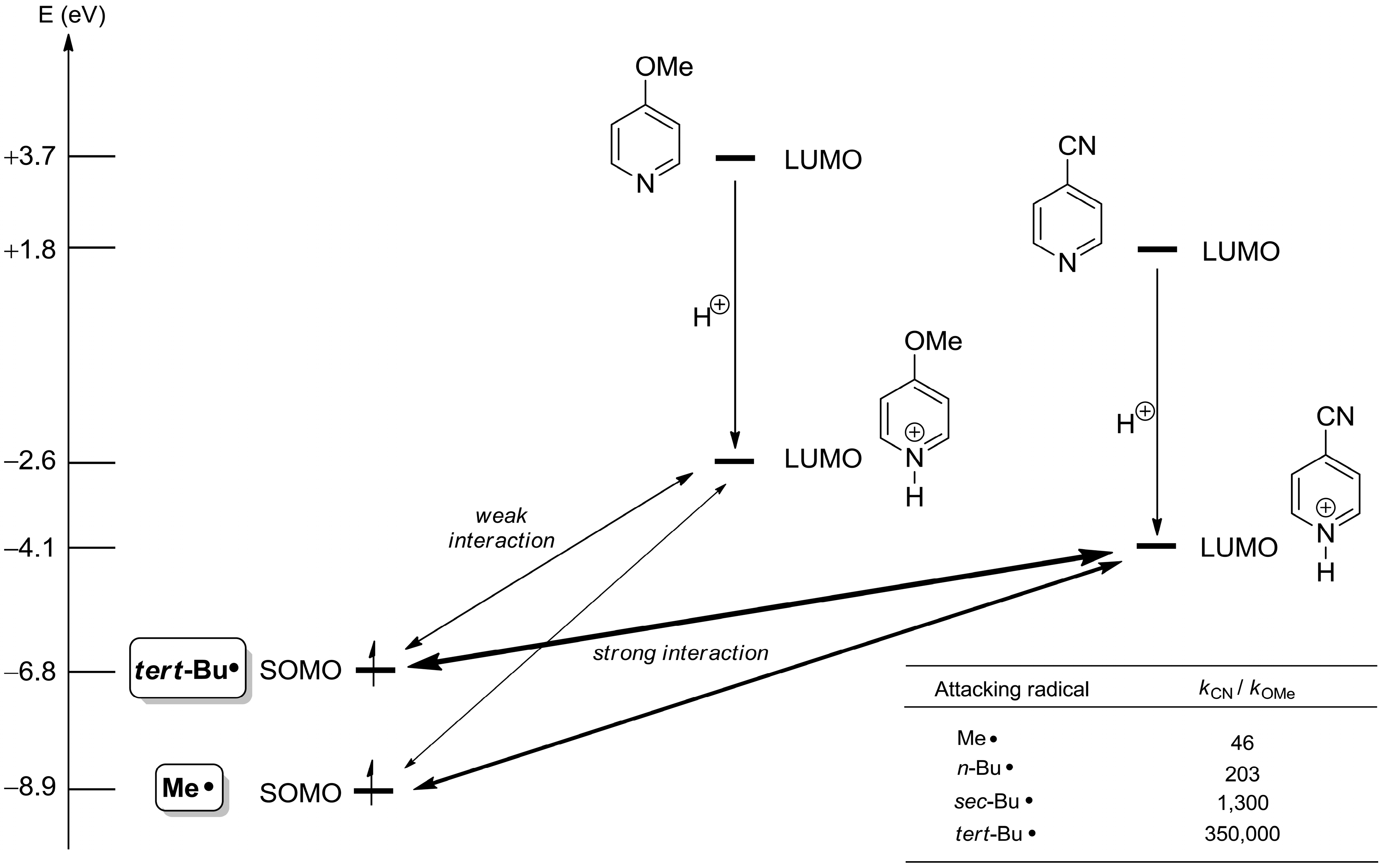 Molecules 19 16190 g004