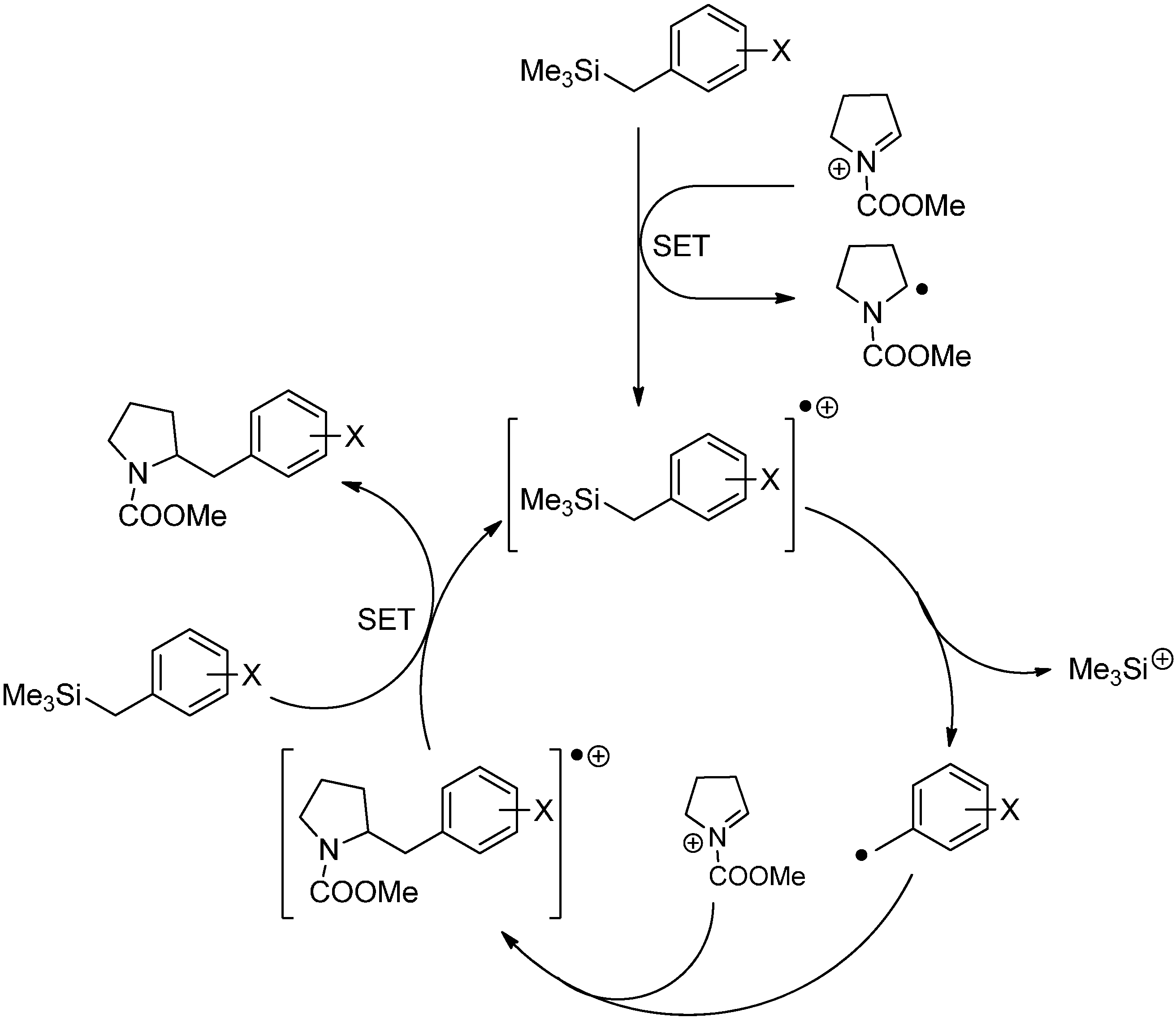 Molecules 19 16190 g026