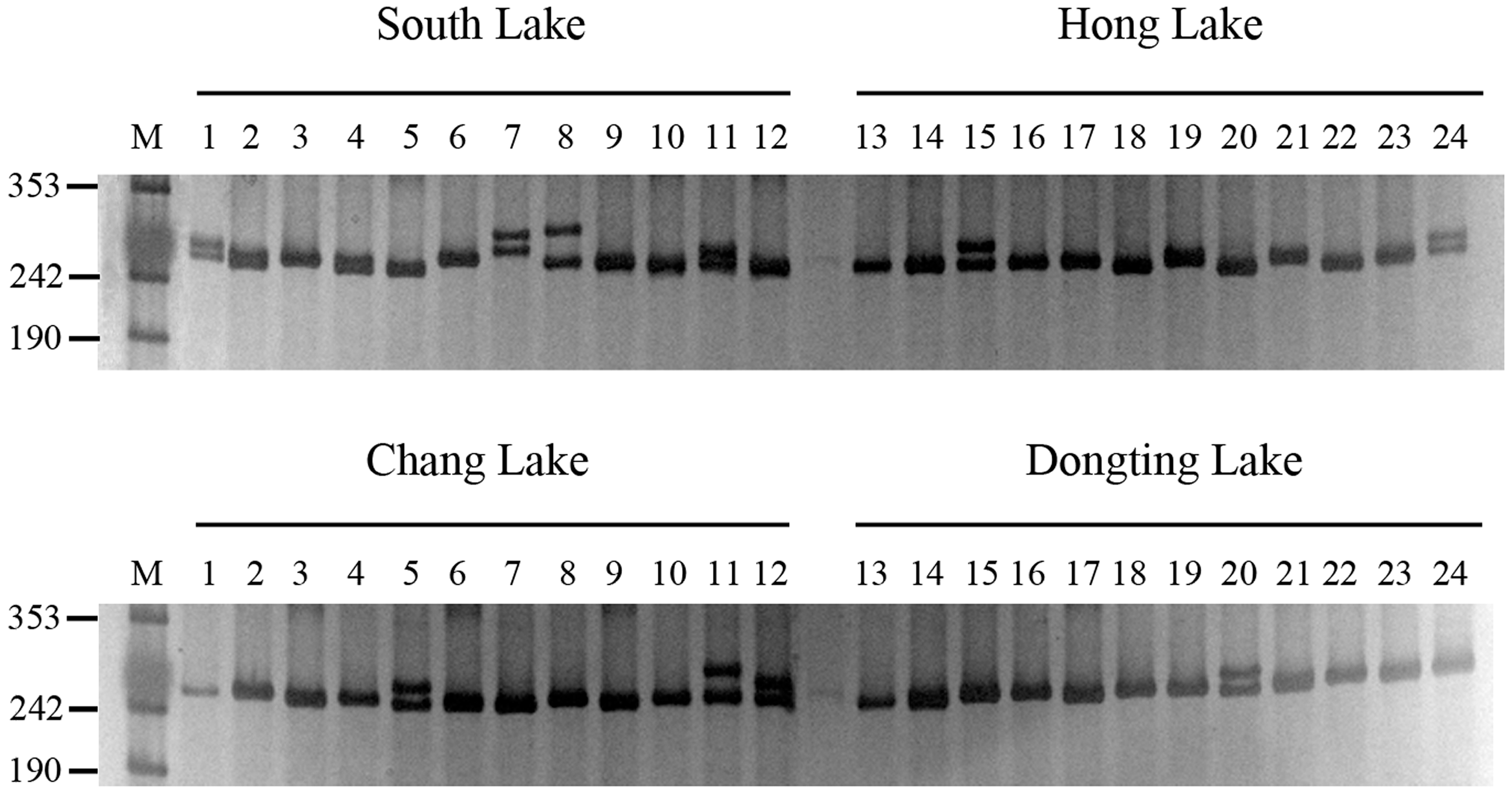Molecules 19 16402 g003