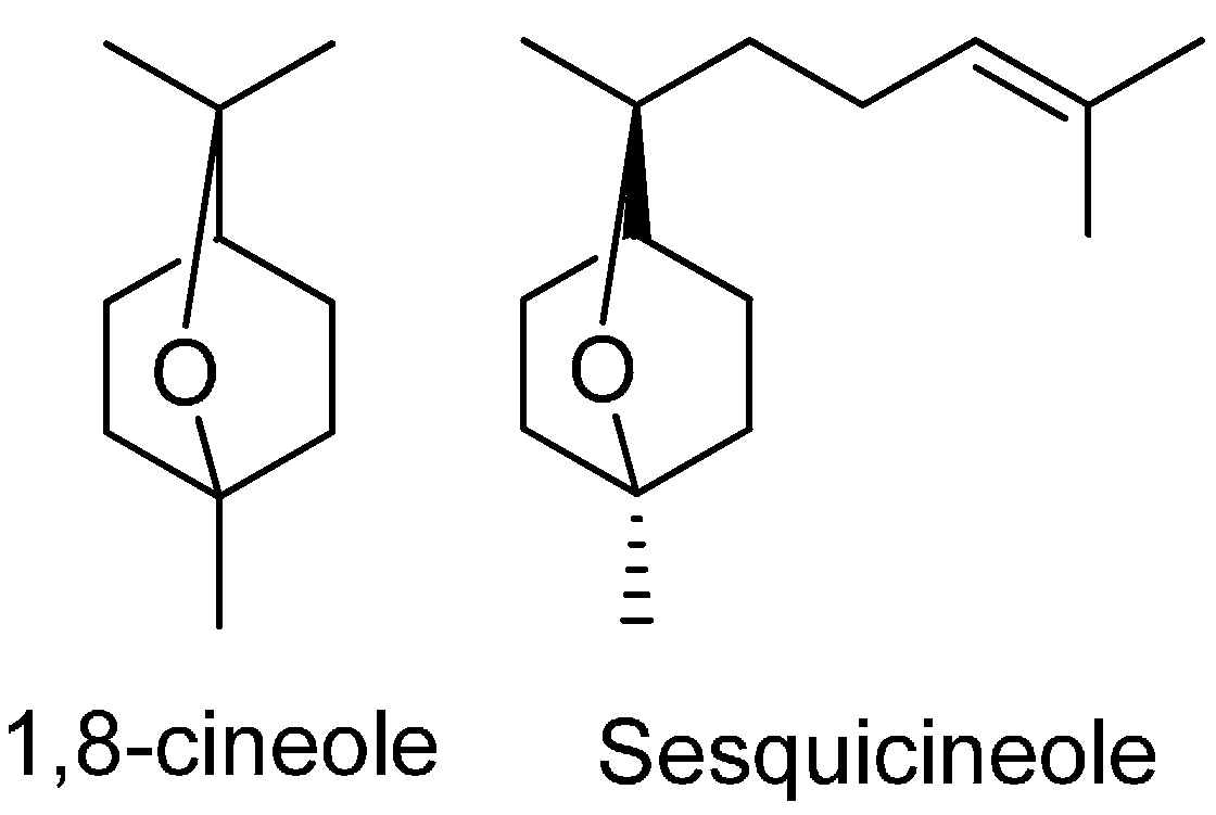 Molecules 19 16573 g003