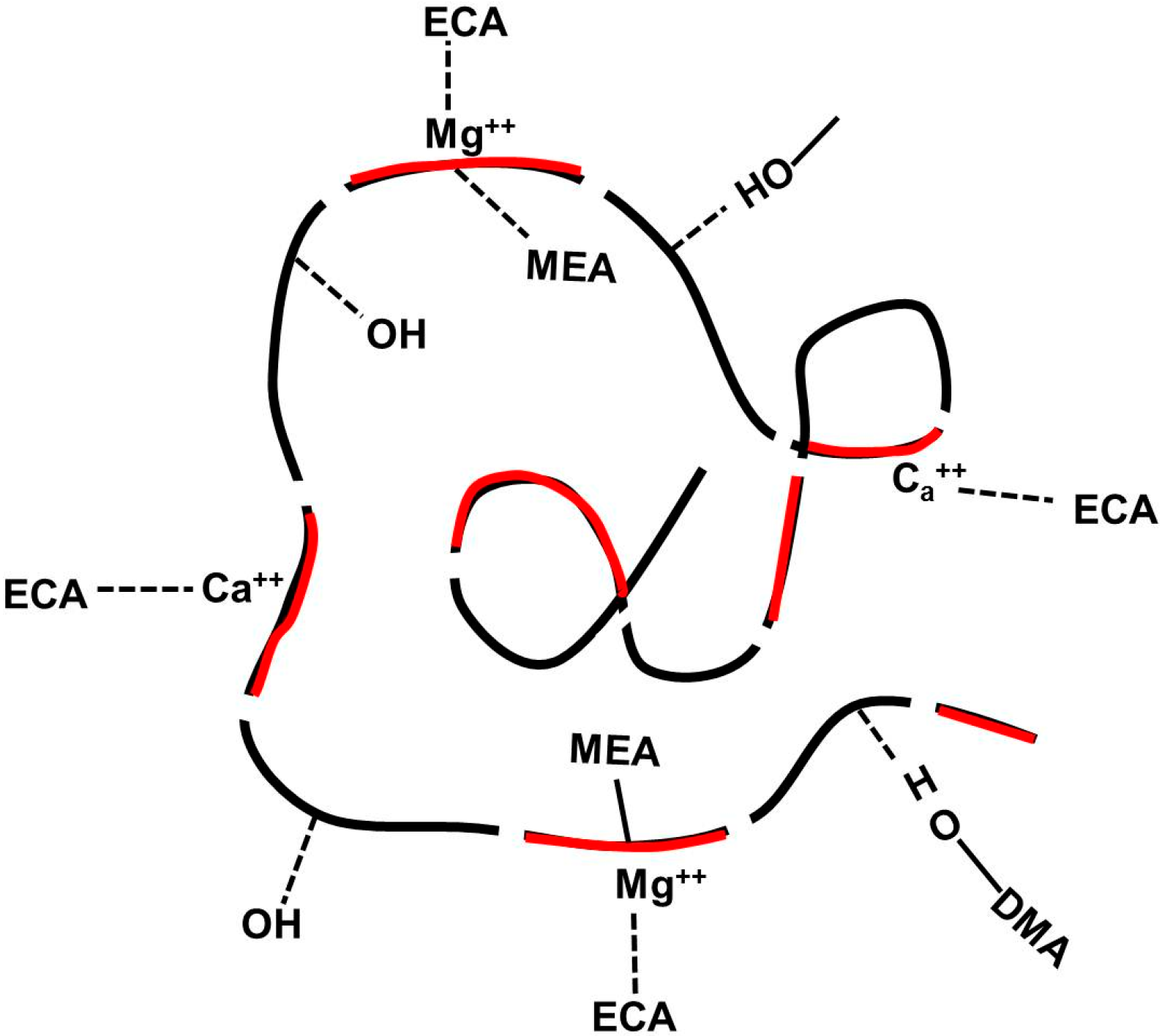 Molecules 19 16779 g012