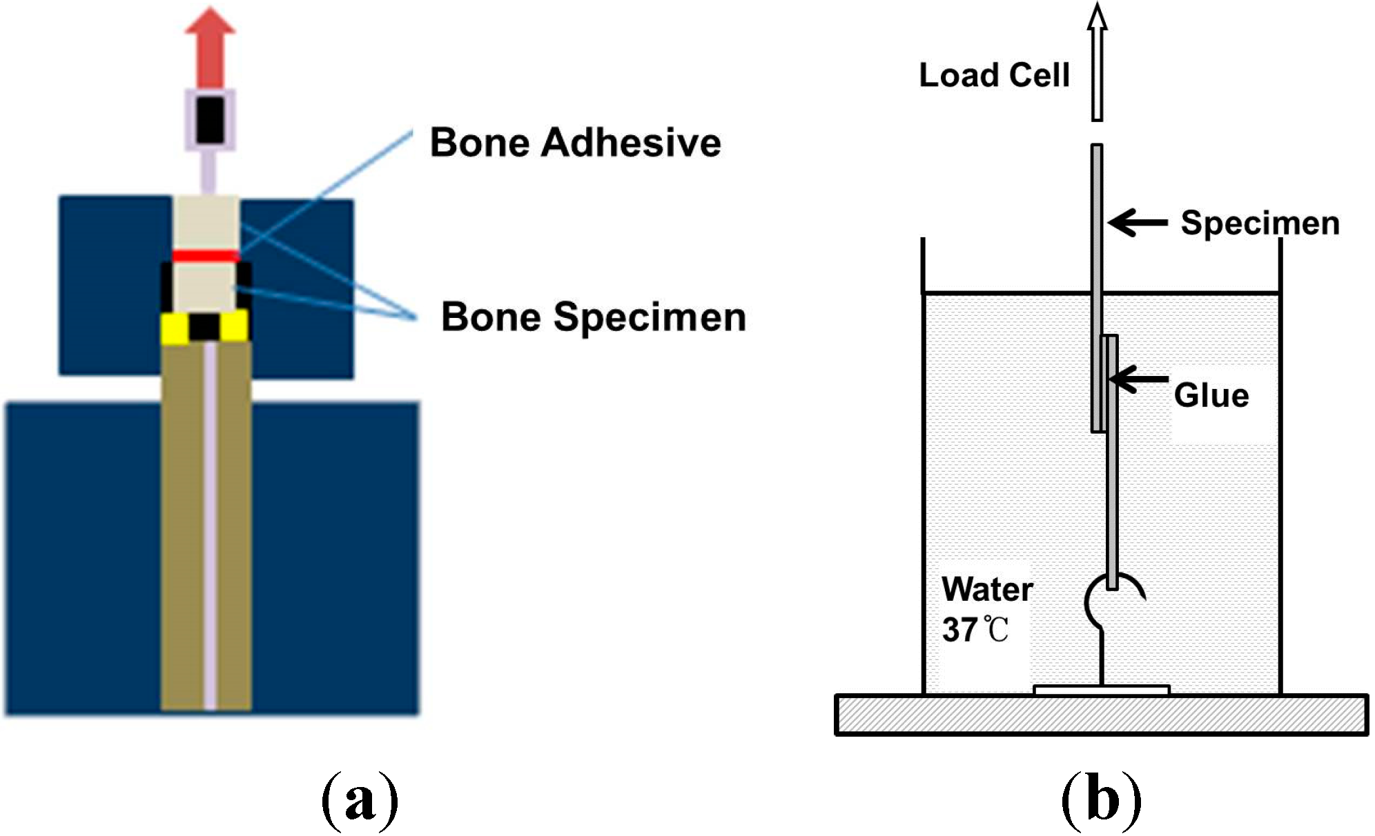 Molecules 19 16779 g013