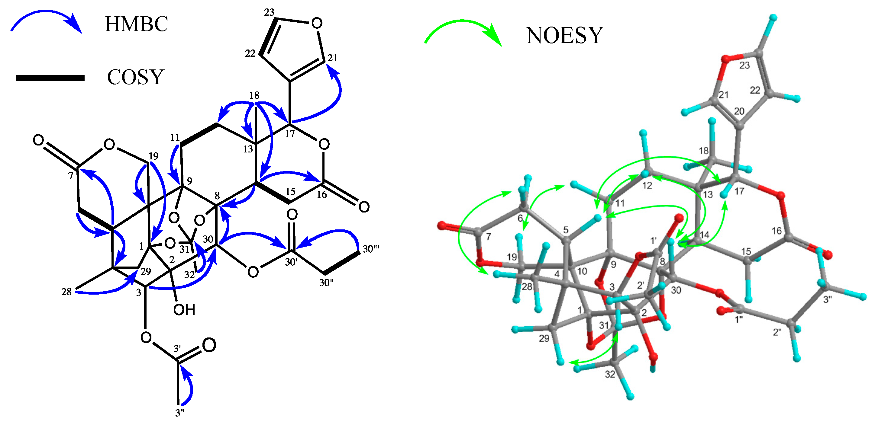 Molecules 19 17130 g004