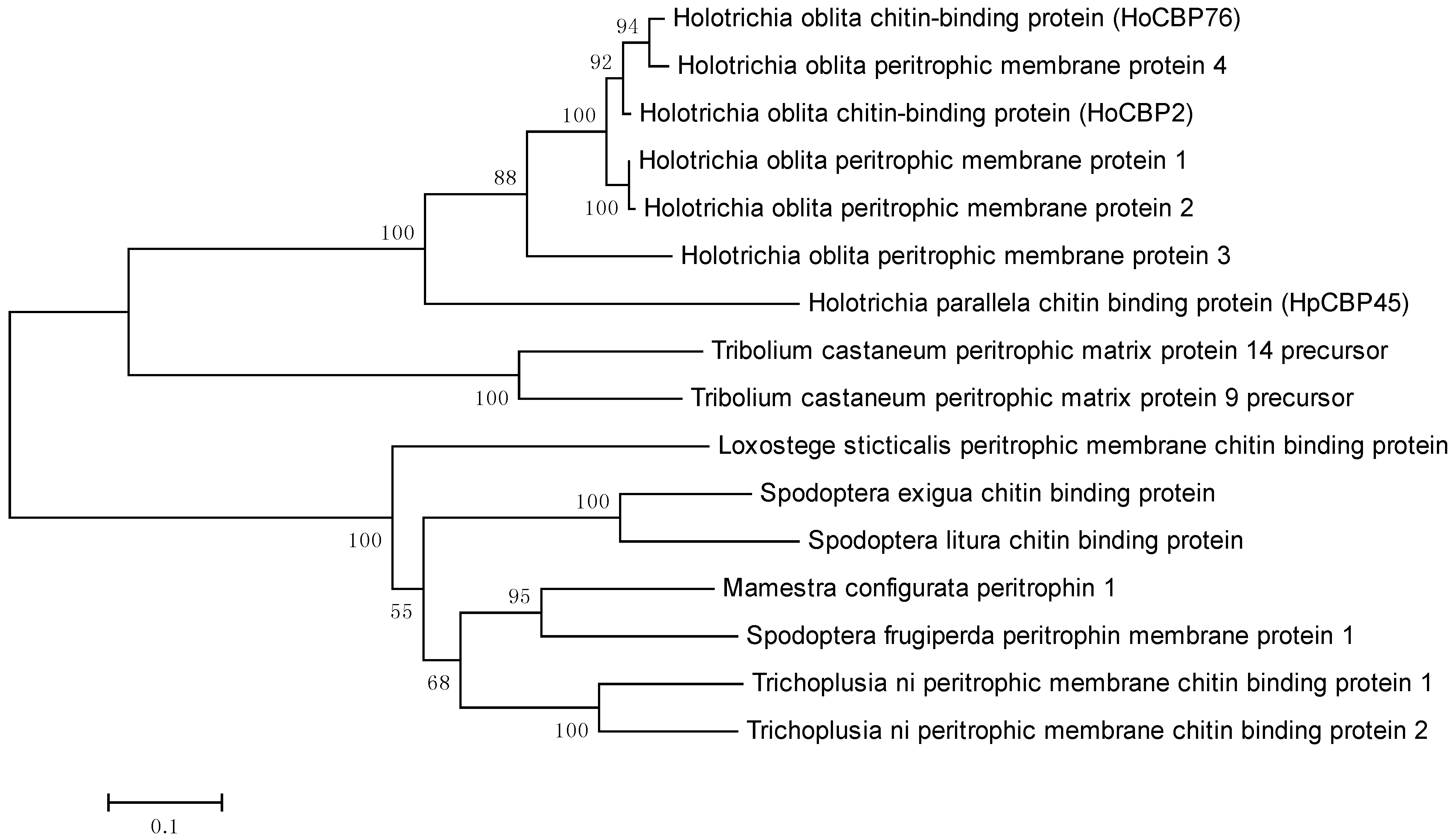 Molecules 19 17799 g003