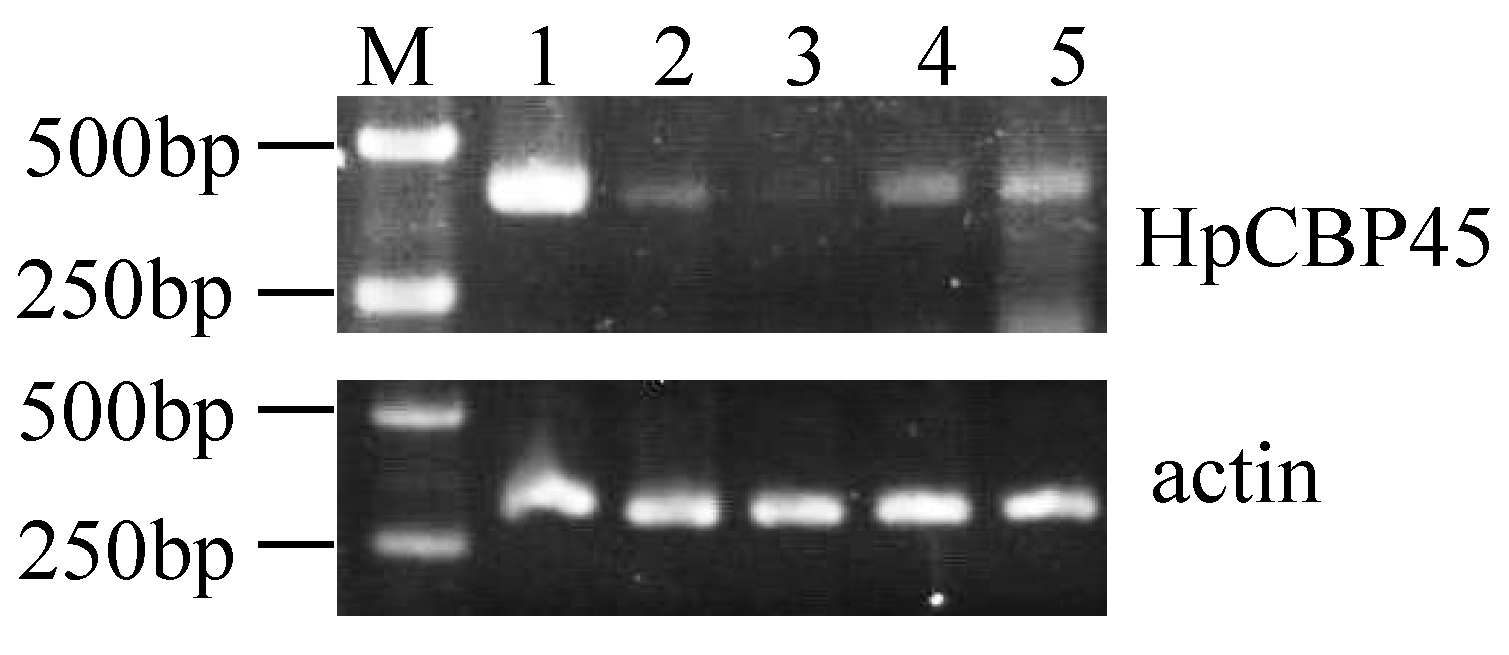 Molecules 19 17799 g006