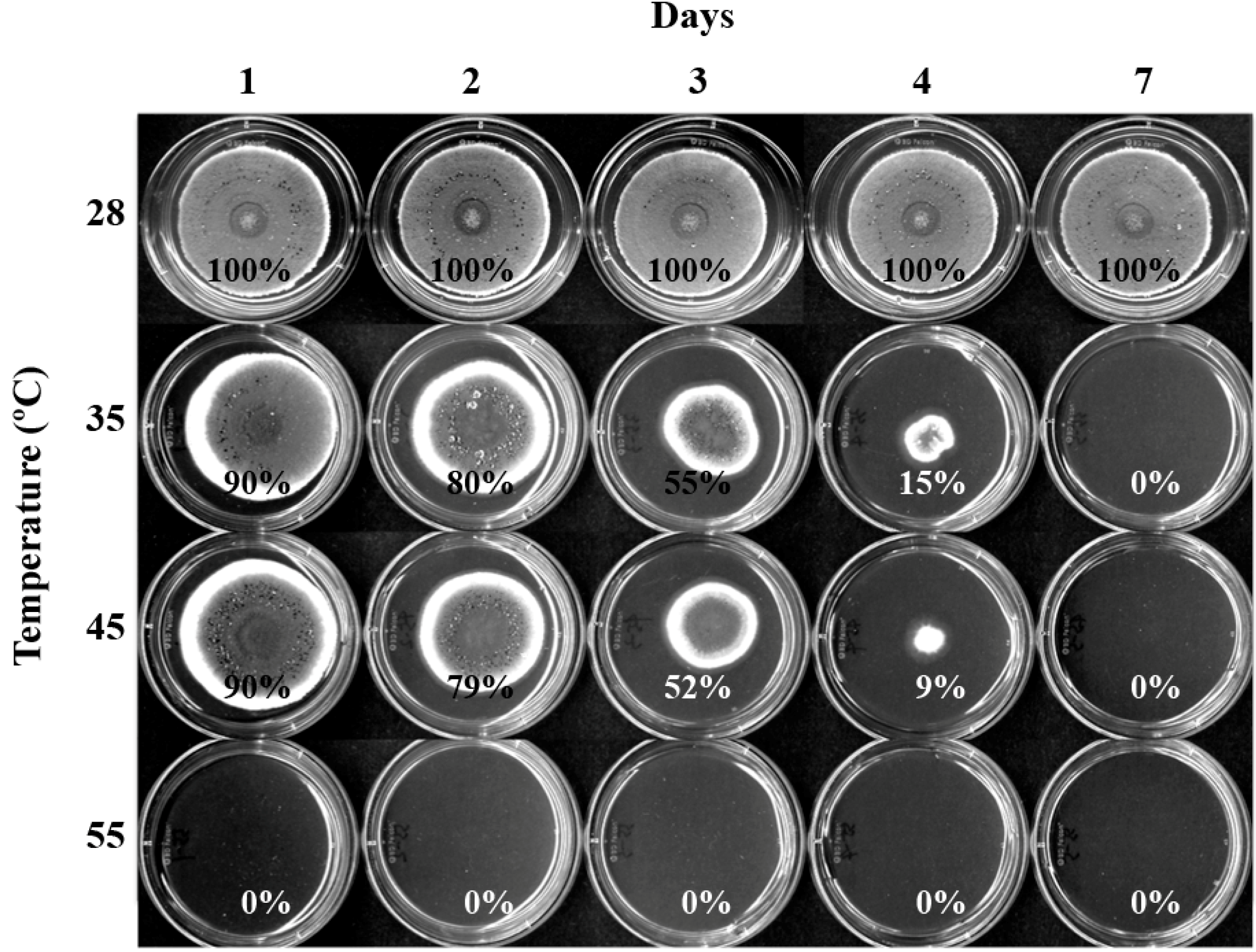 Molecules 19 18448 g002