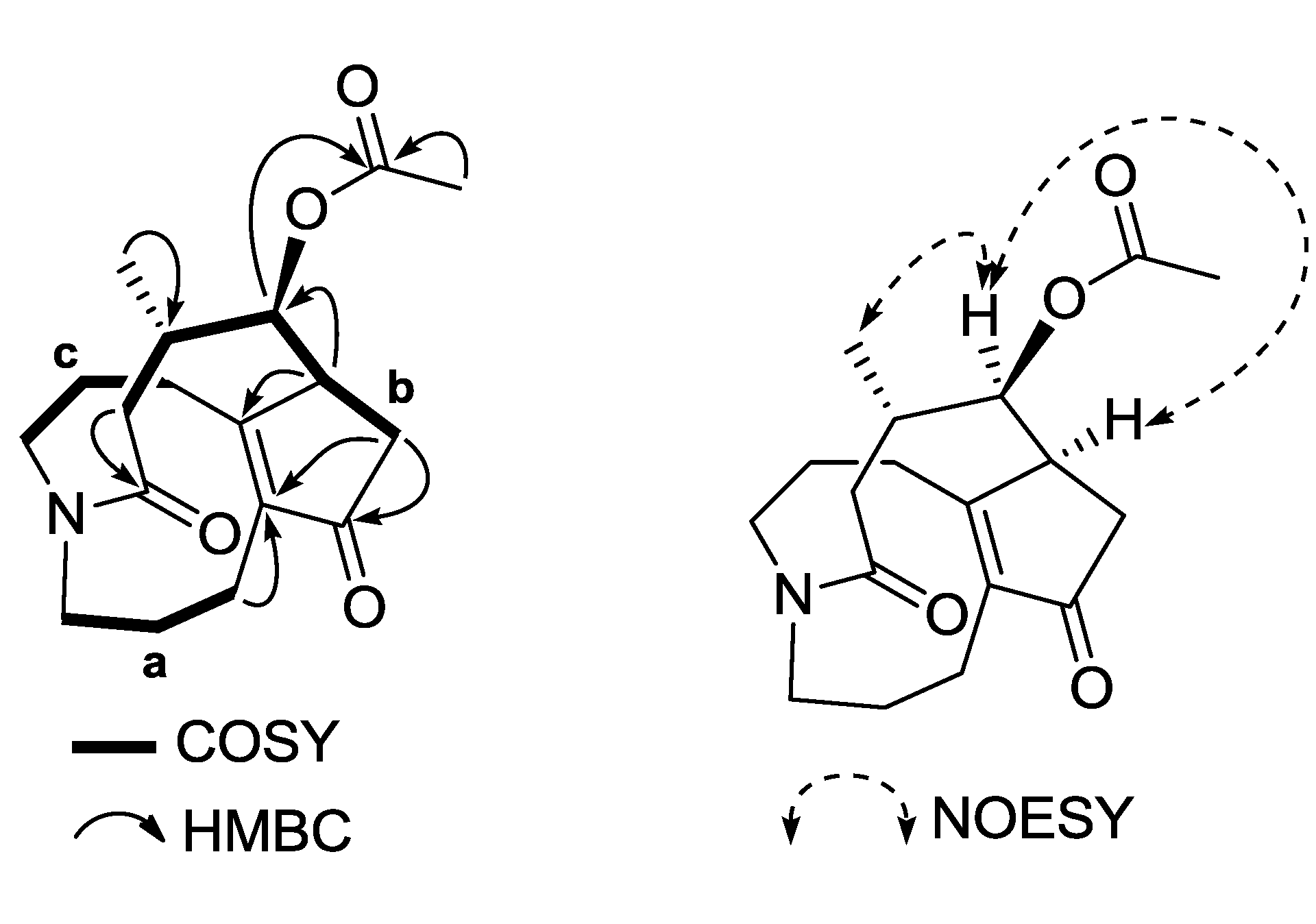 Molecules 19 19172 g002