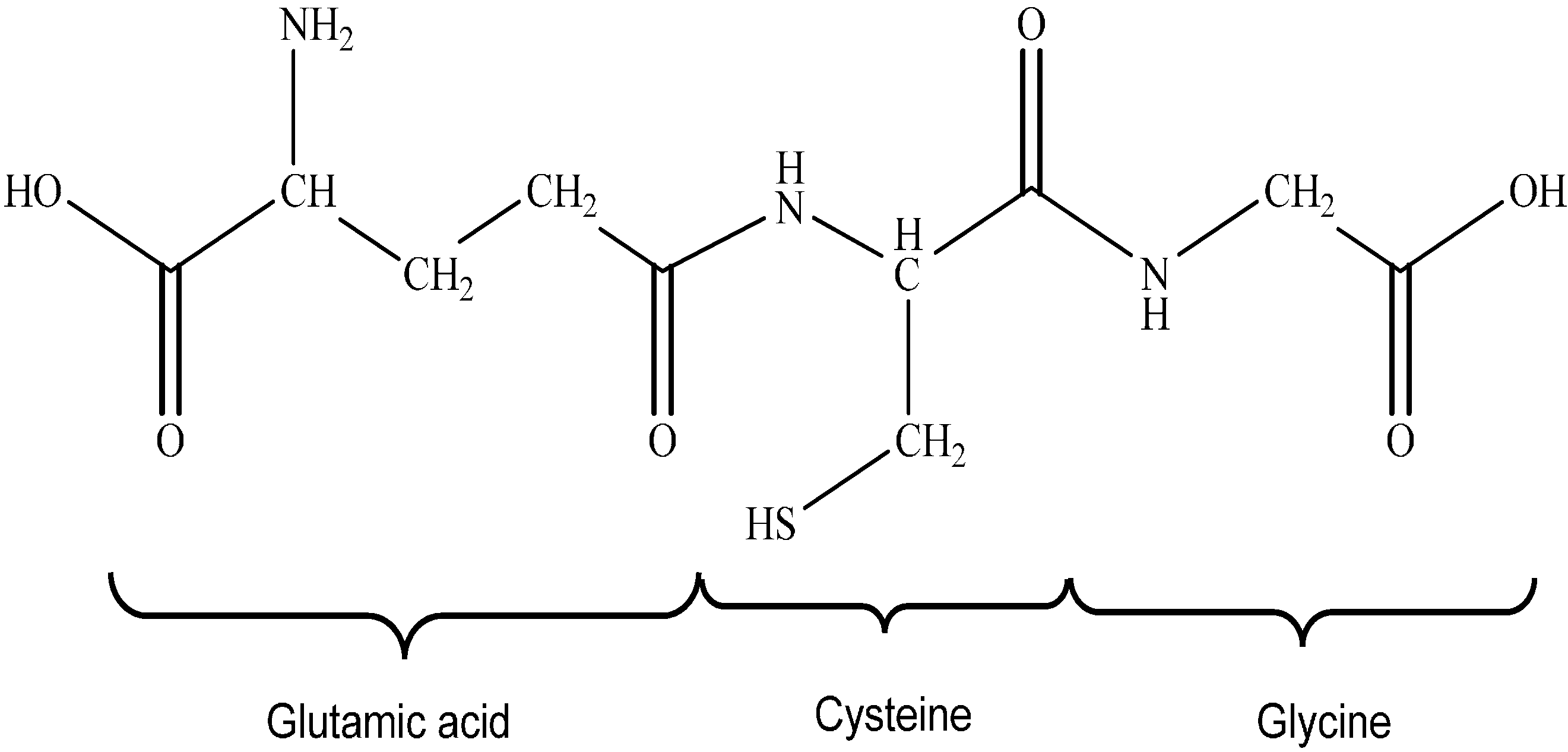 Molecules 19 19376 g003