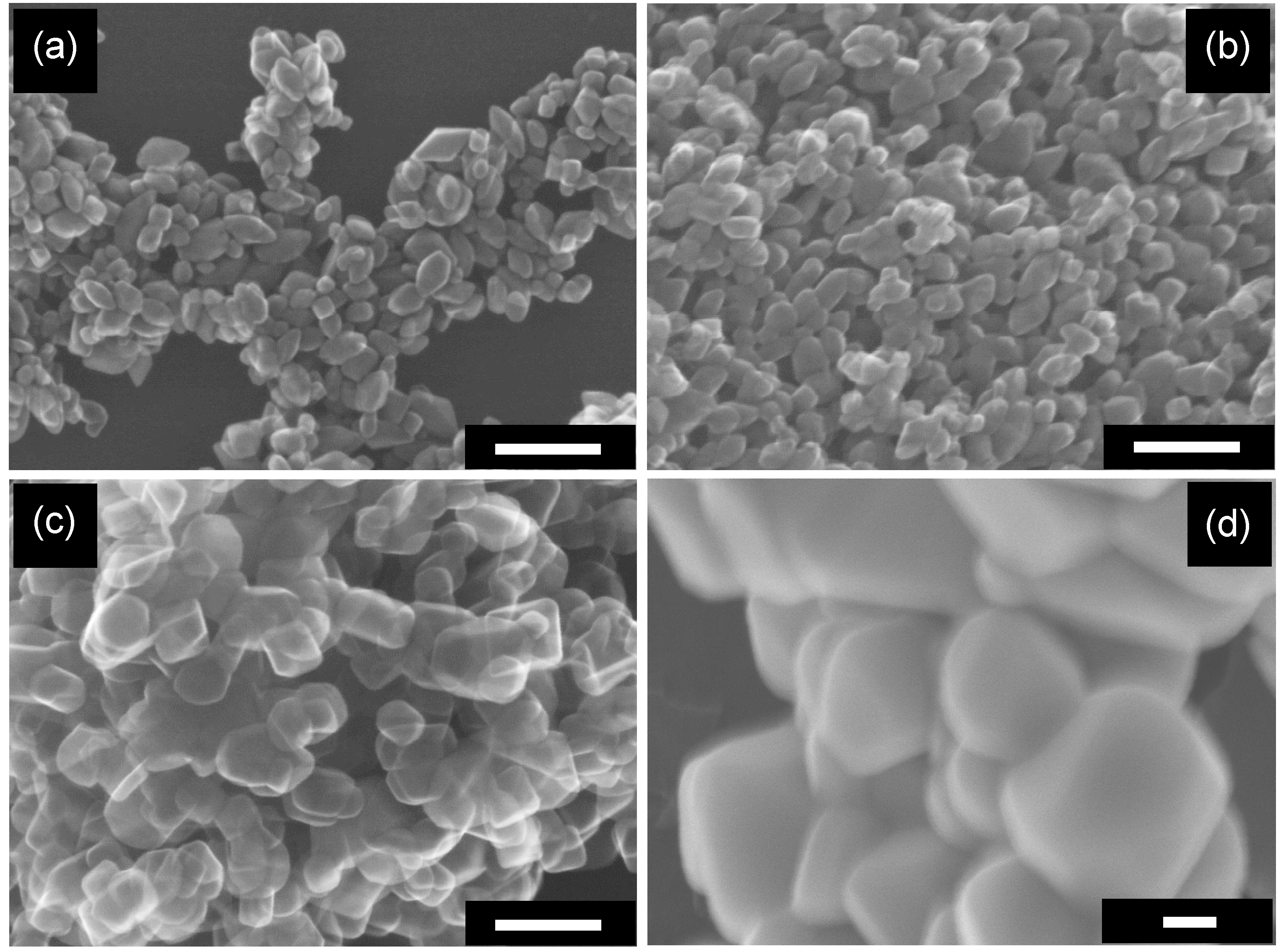 Molecules 19 19573 g004