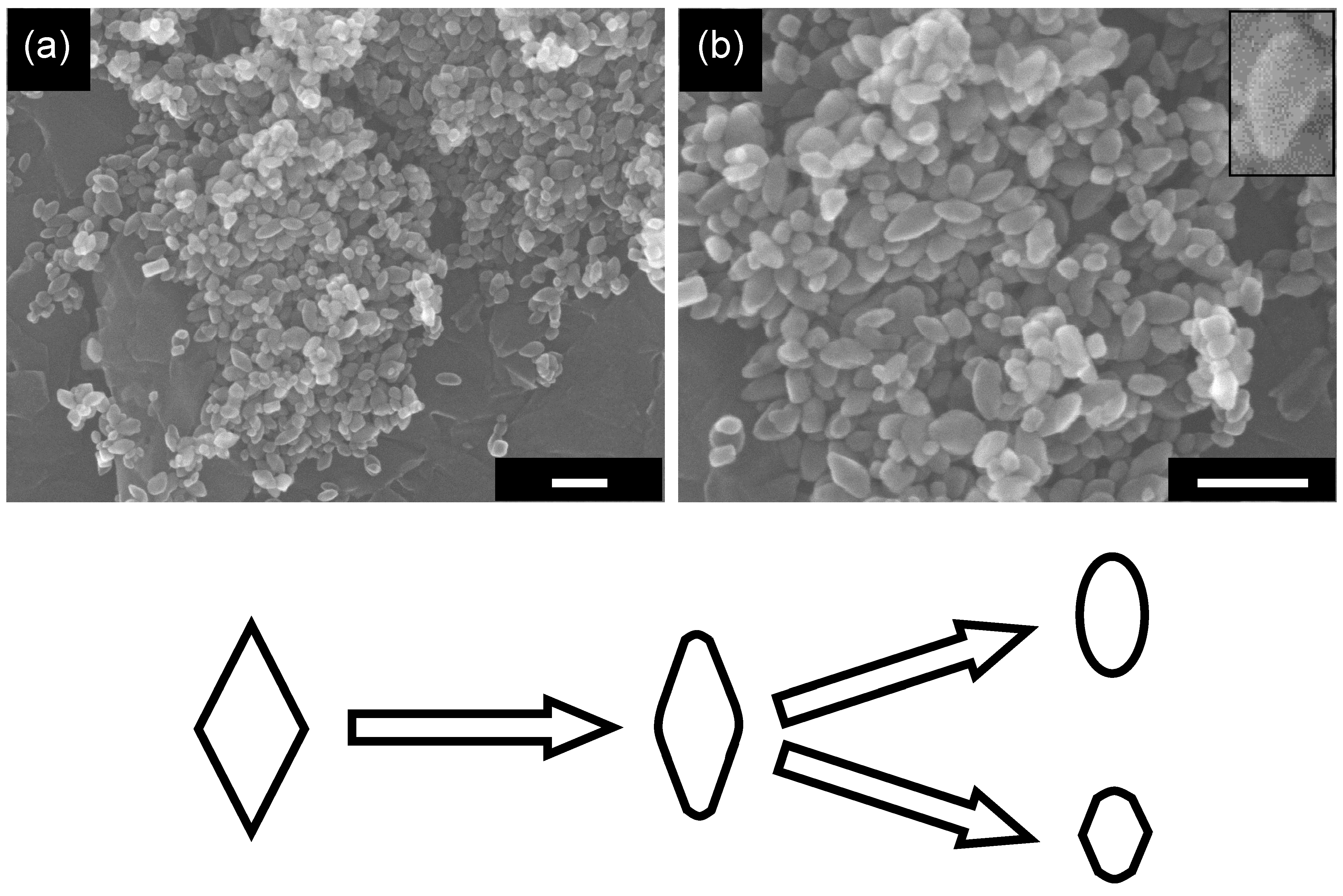 Molecules 19 19573 g007