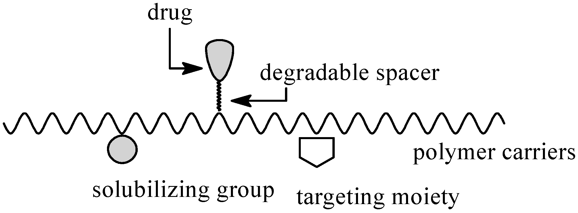 Molecules Free FullText Enzymatic Polymerization of Cyclic