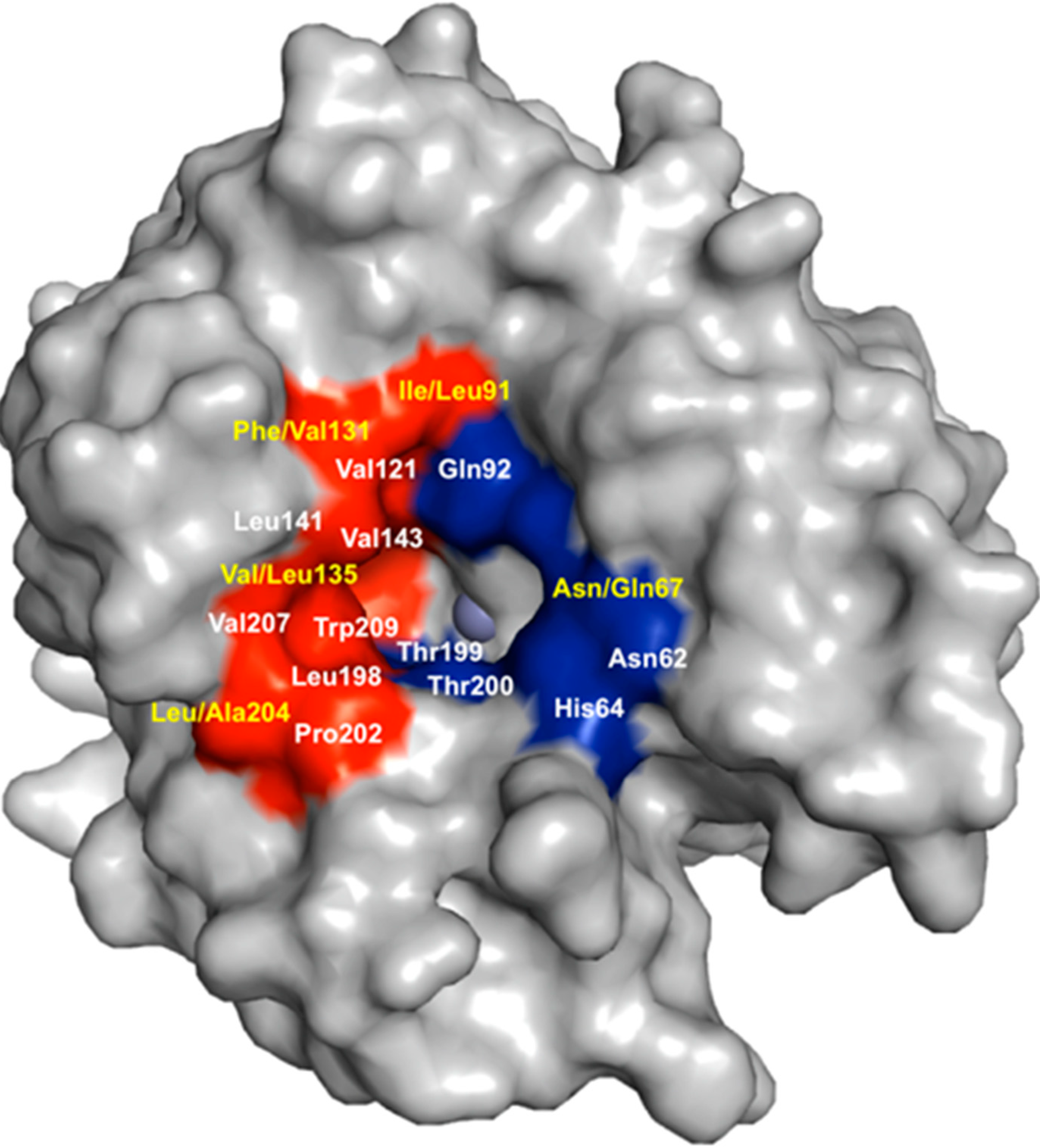 Molecules 20 02323 g003