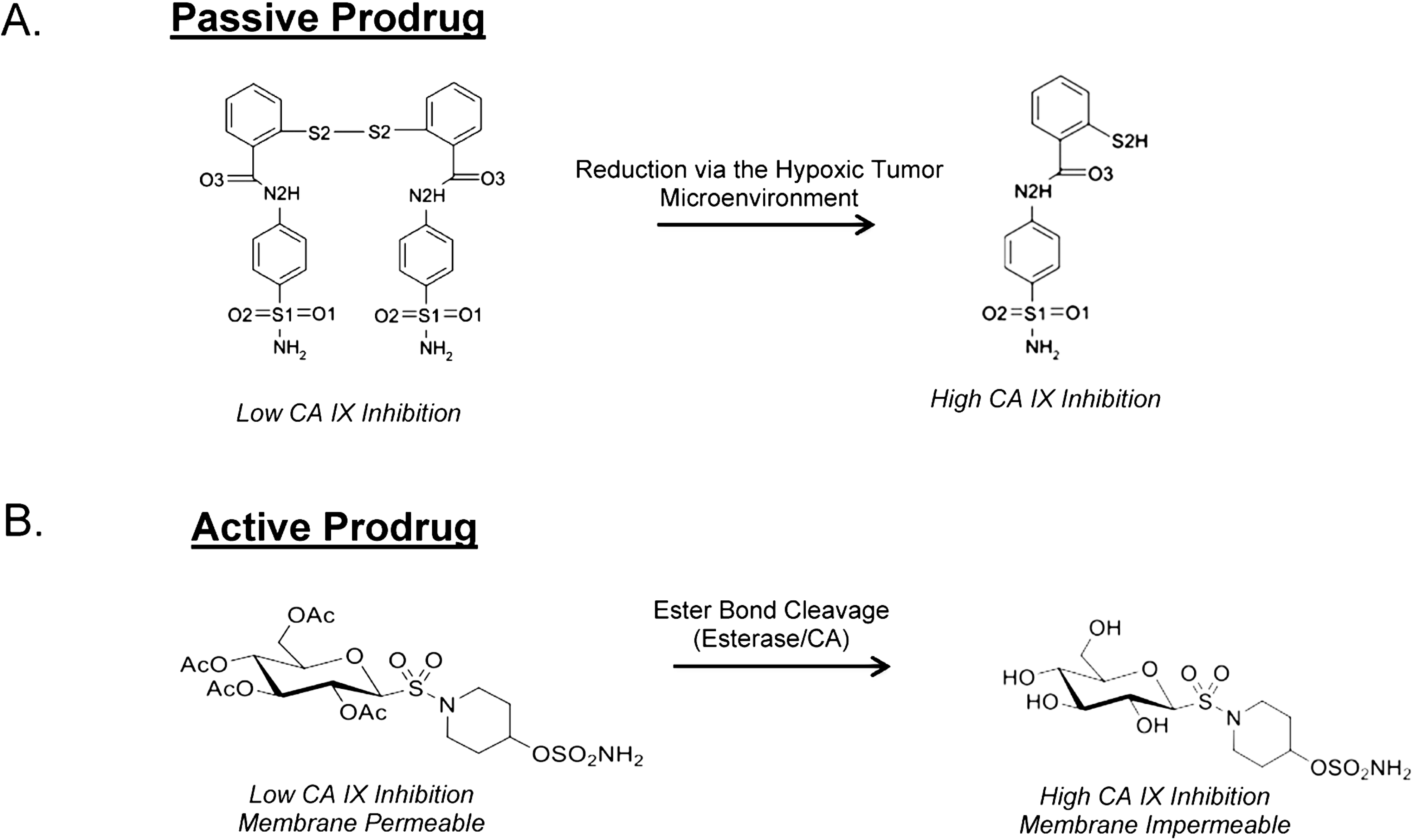 Molecules 20 02323 g006