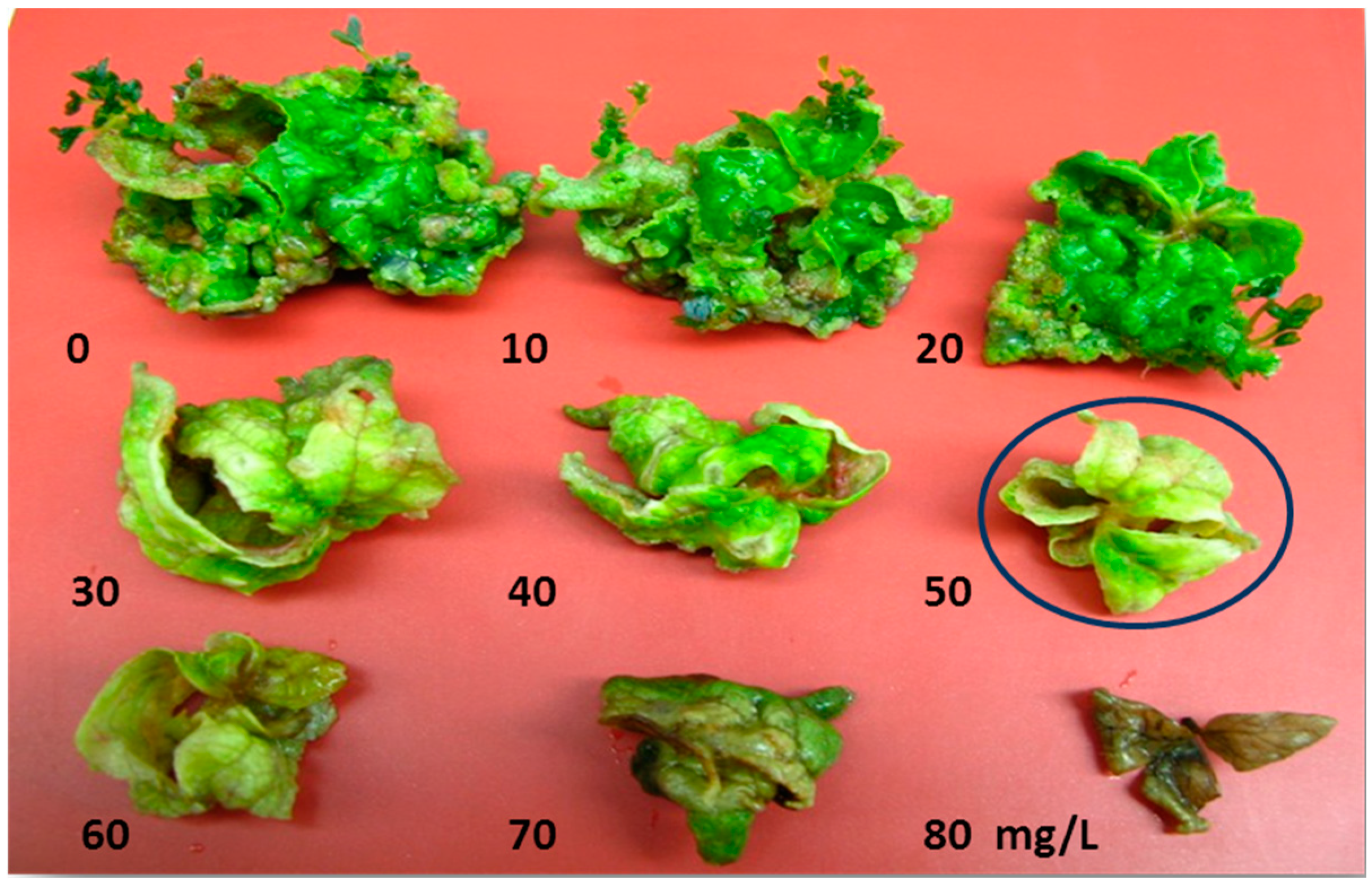 Molecules 20 03647 g003