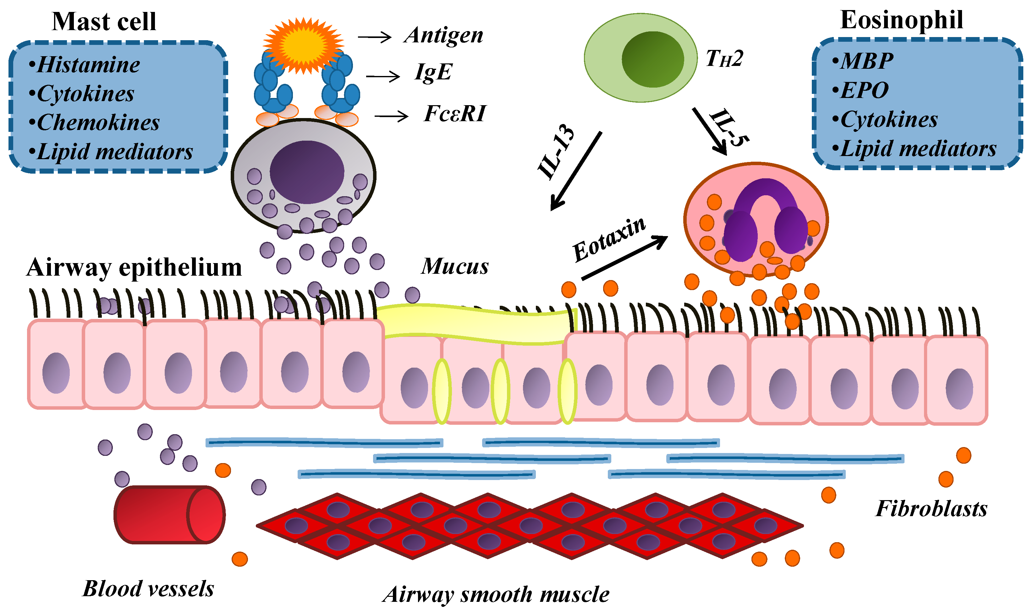 Molecules 20 04695 g002
