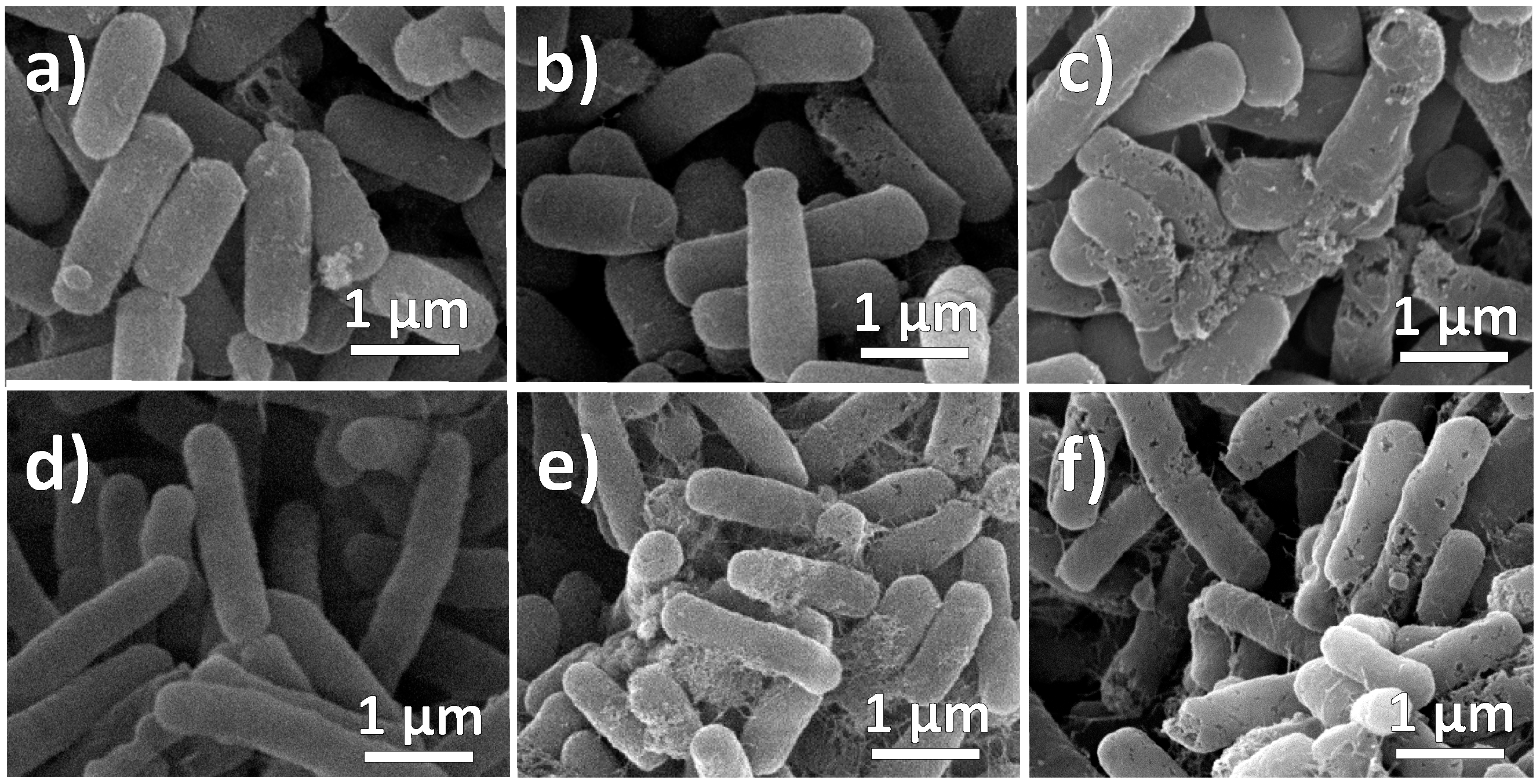 Molecules 20 06002 g009