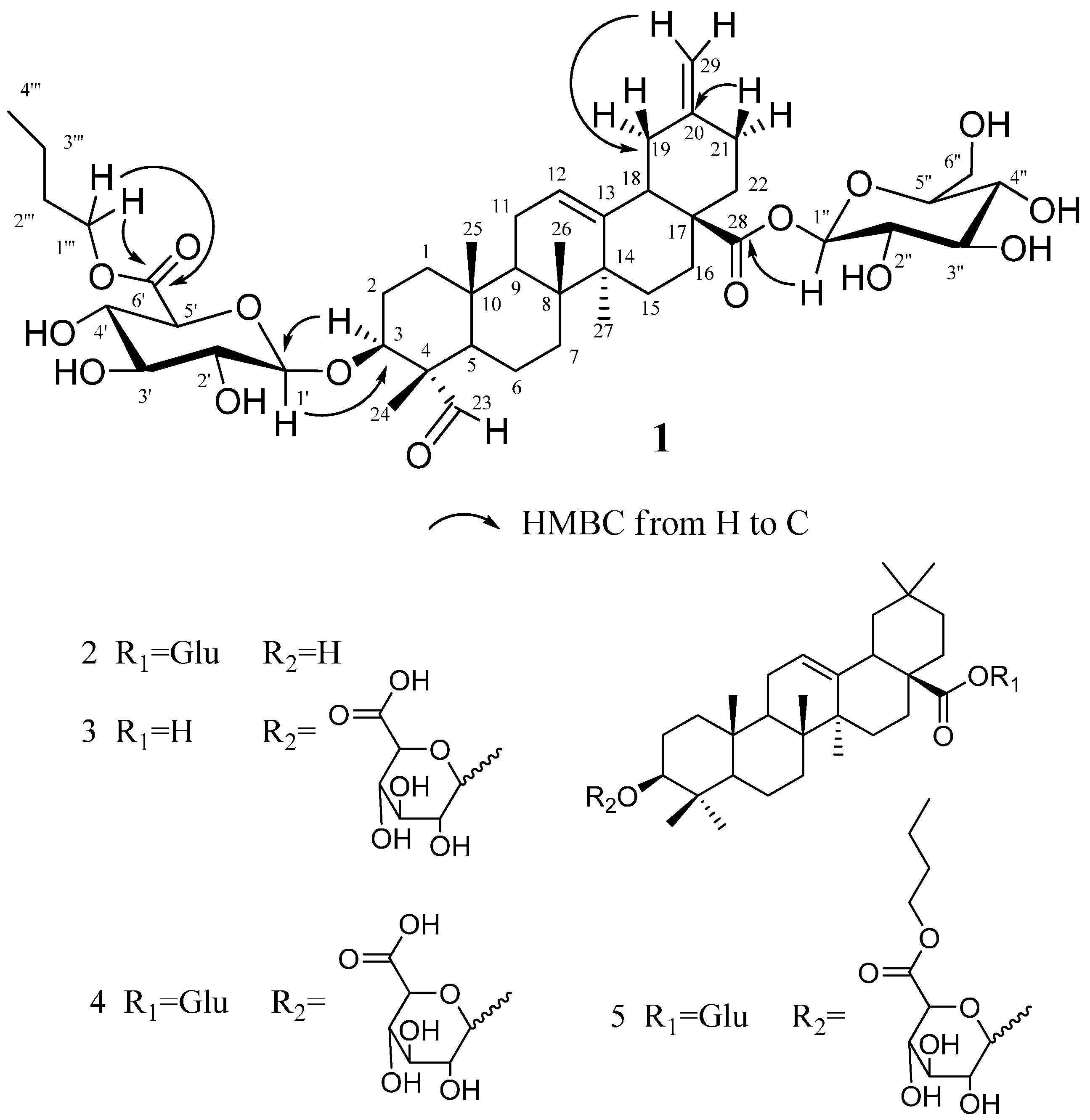 Molecules 20 06419 g002