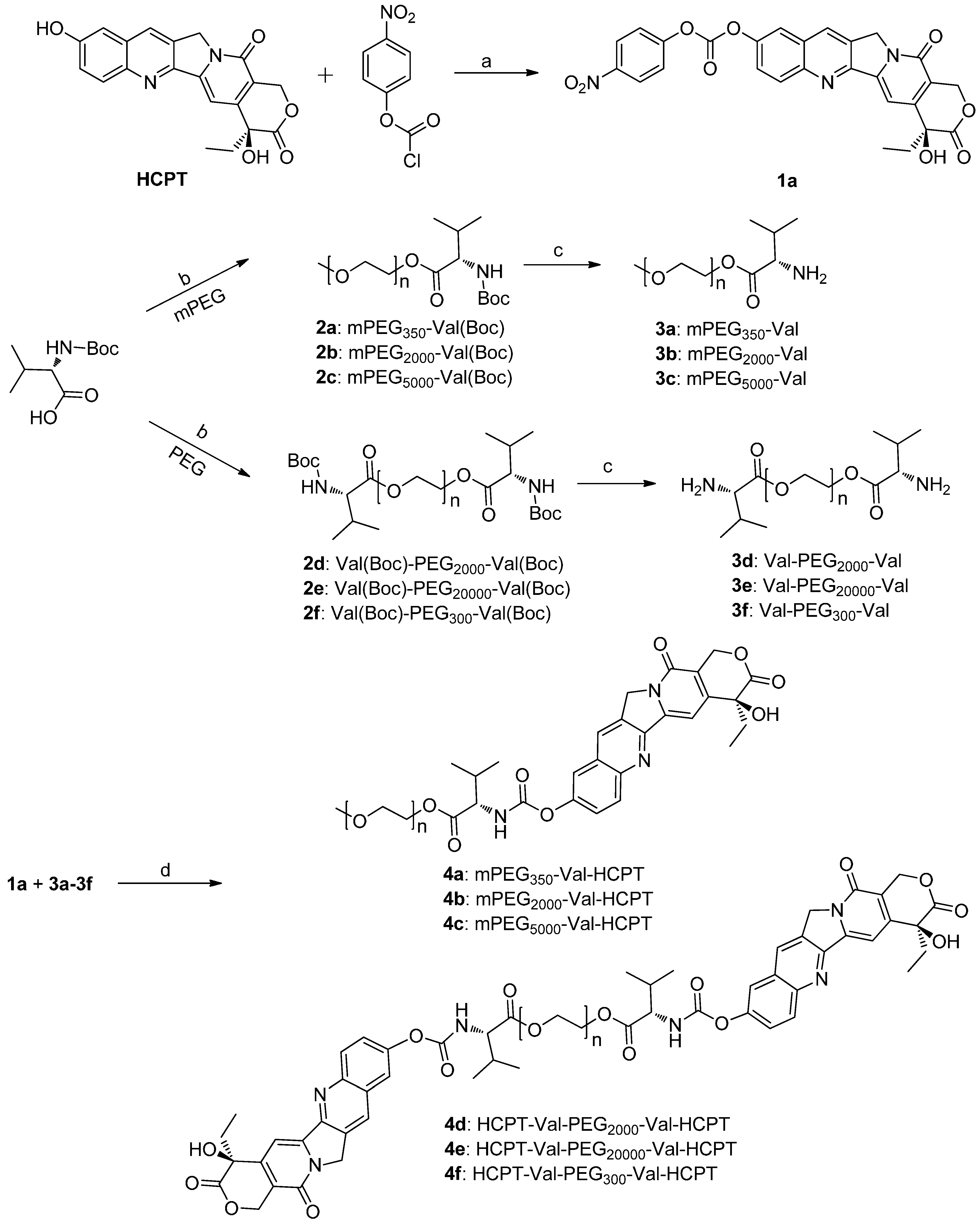 Molecules 20 09393 g003