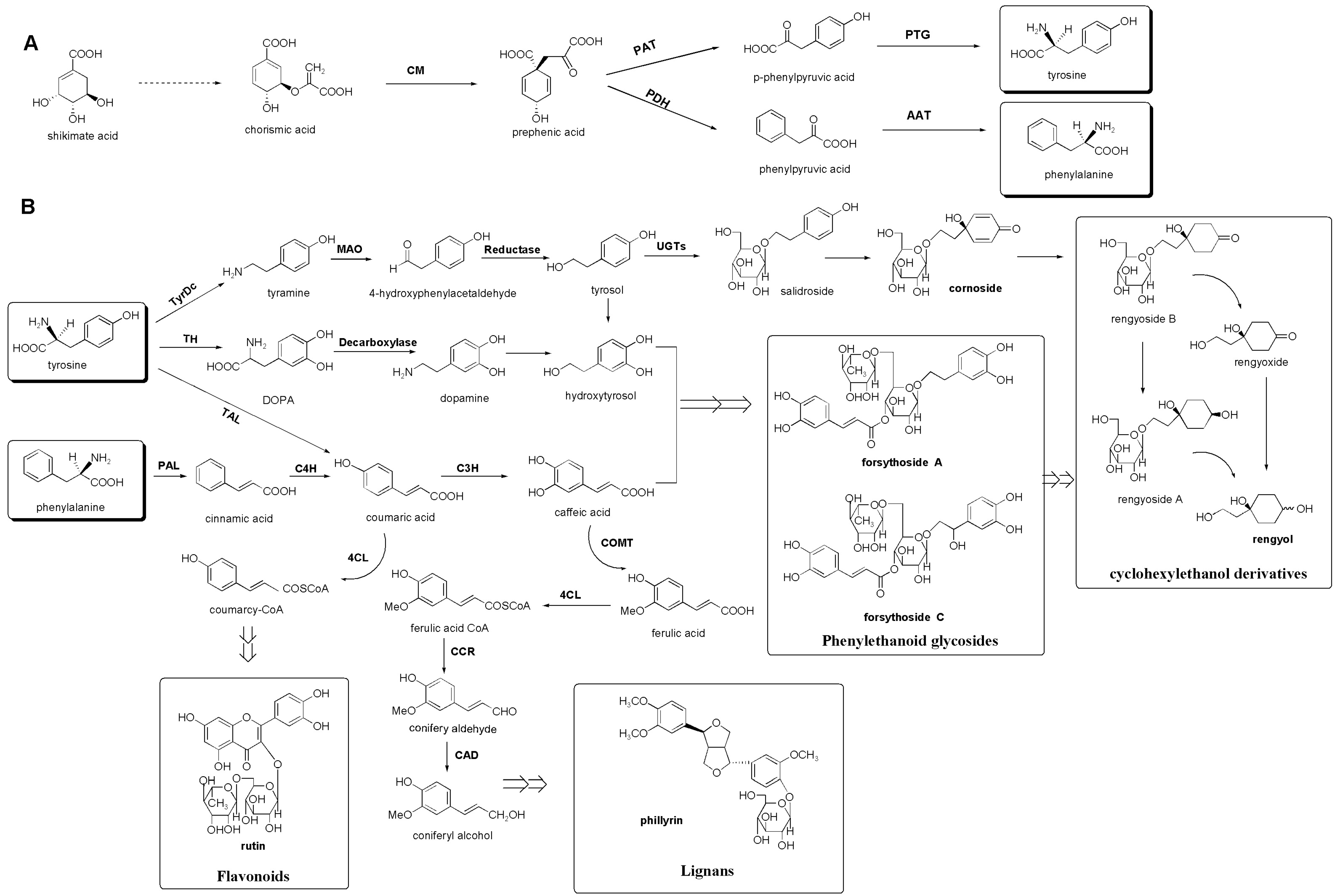 Molecules 20 10065 g004