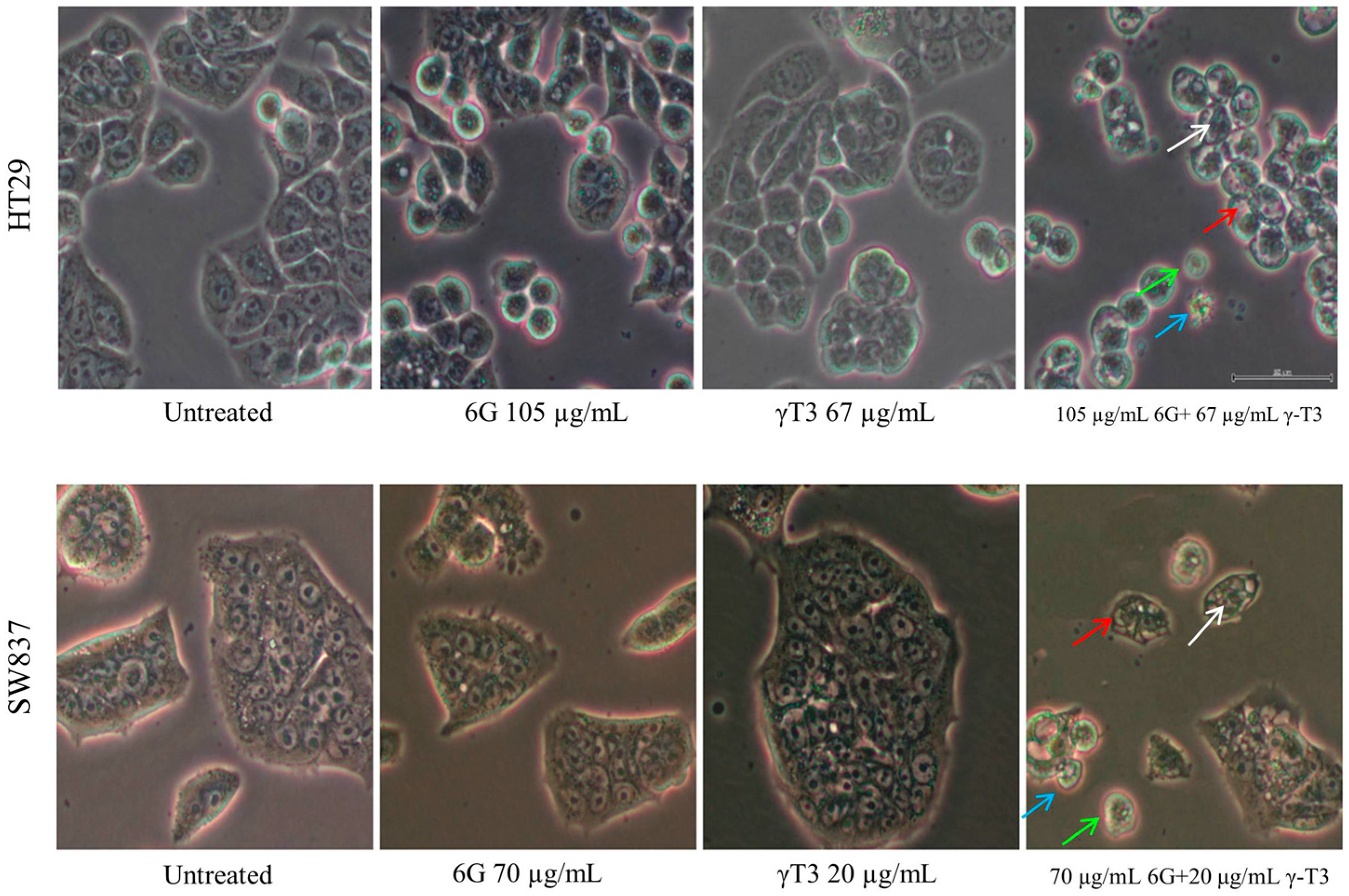 Molecules 20 10280 g005
