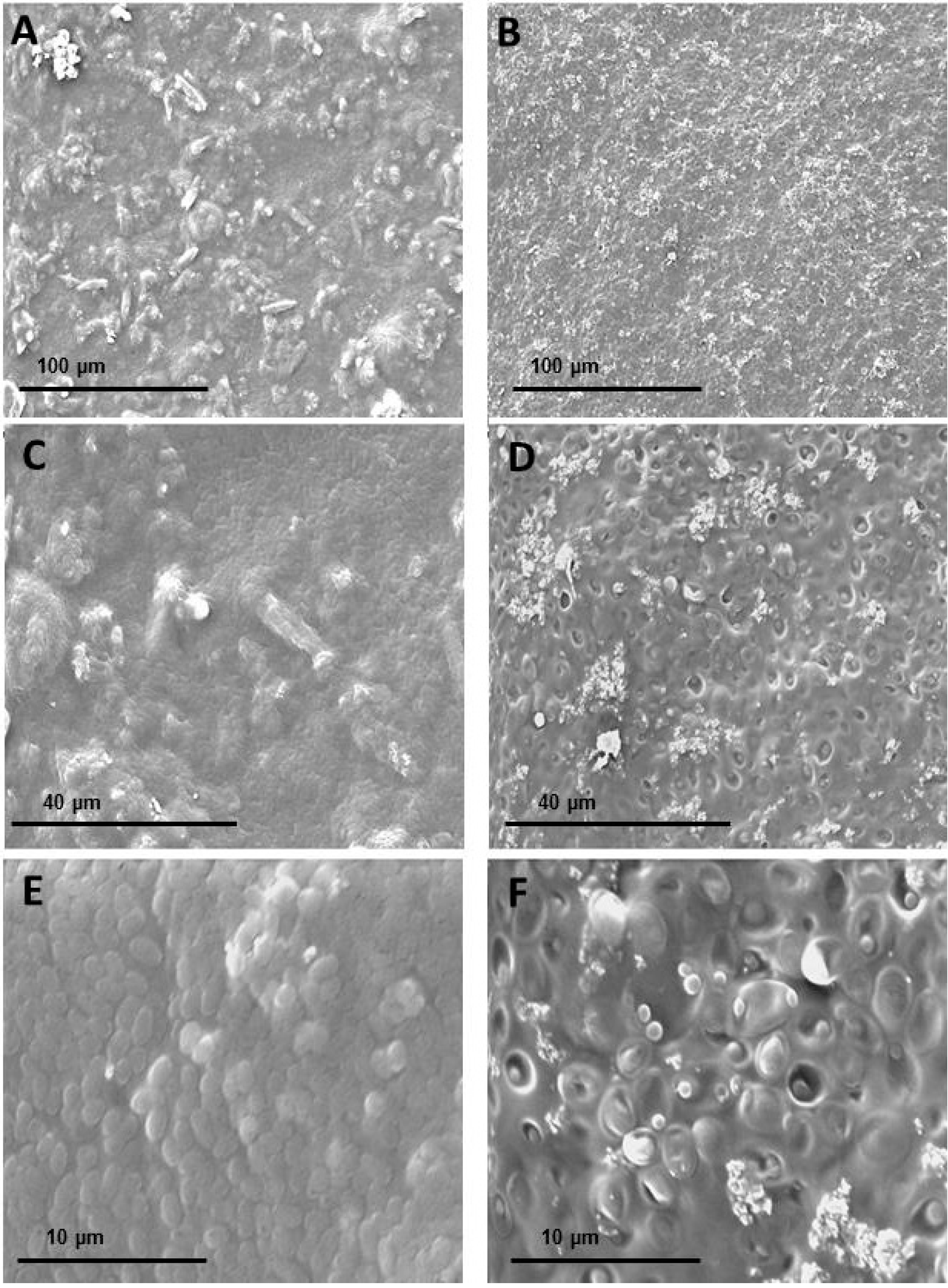 Molecules 20 11373 g007
