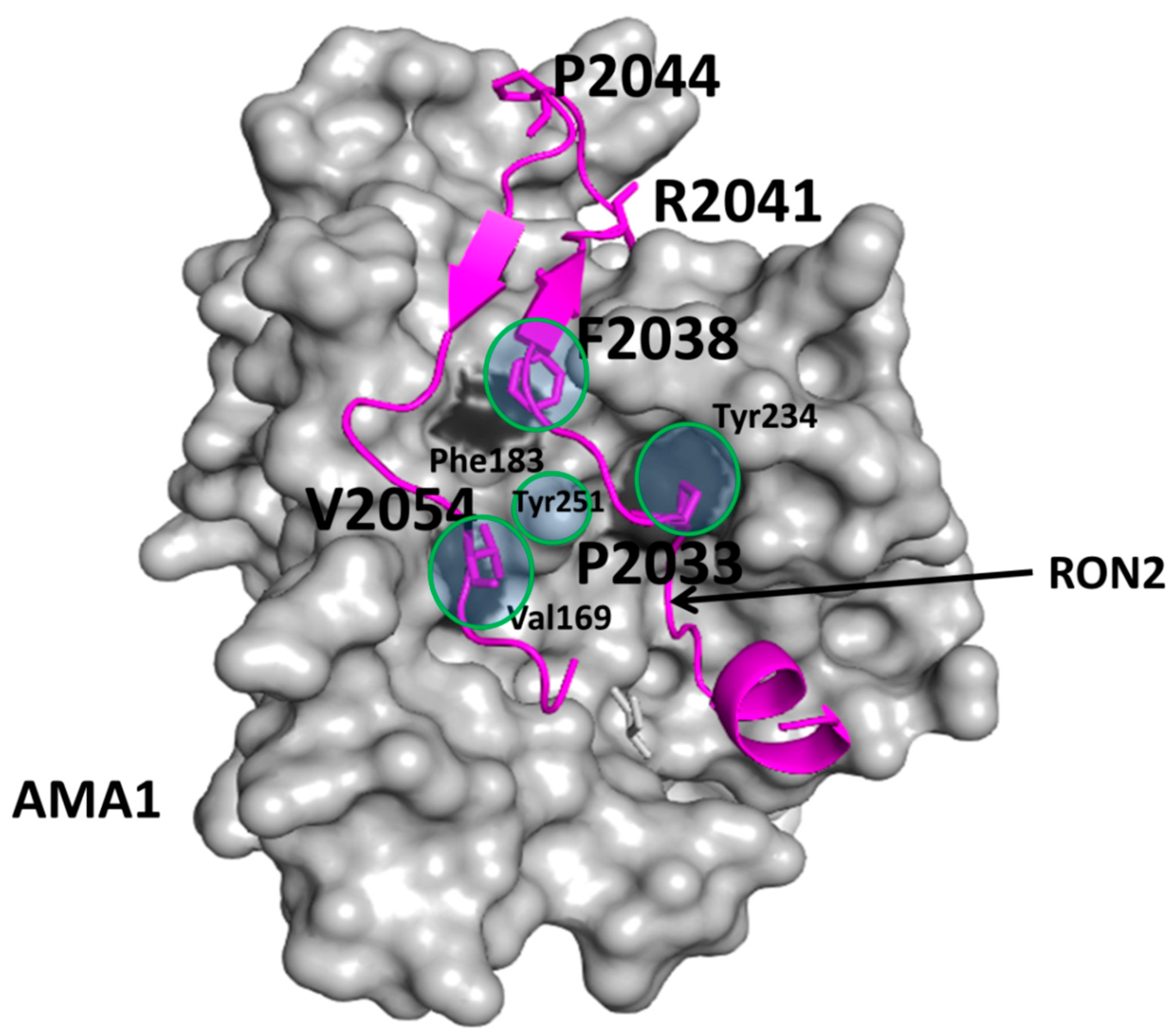 Molecules 20 11569 g002