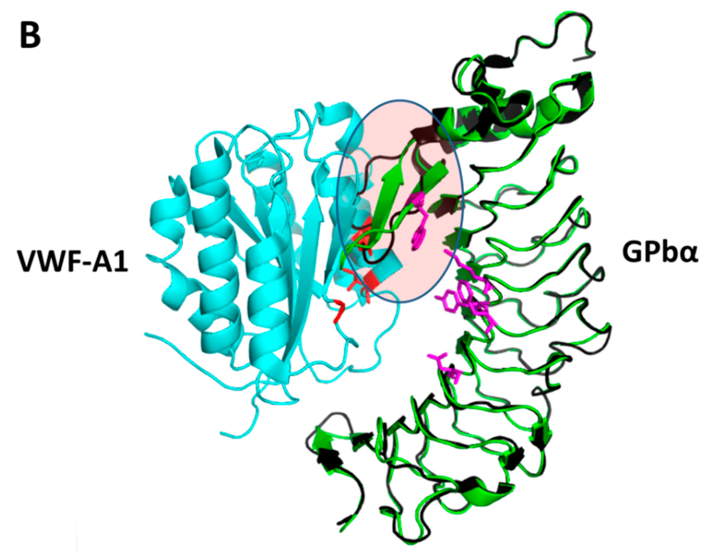 Molecules 20 11569 g003b