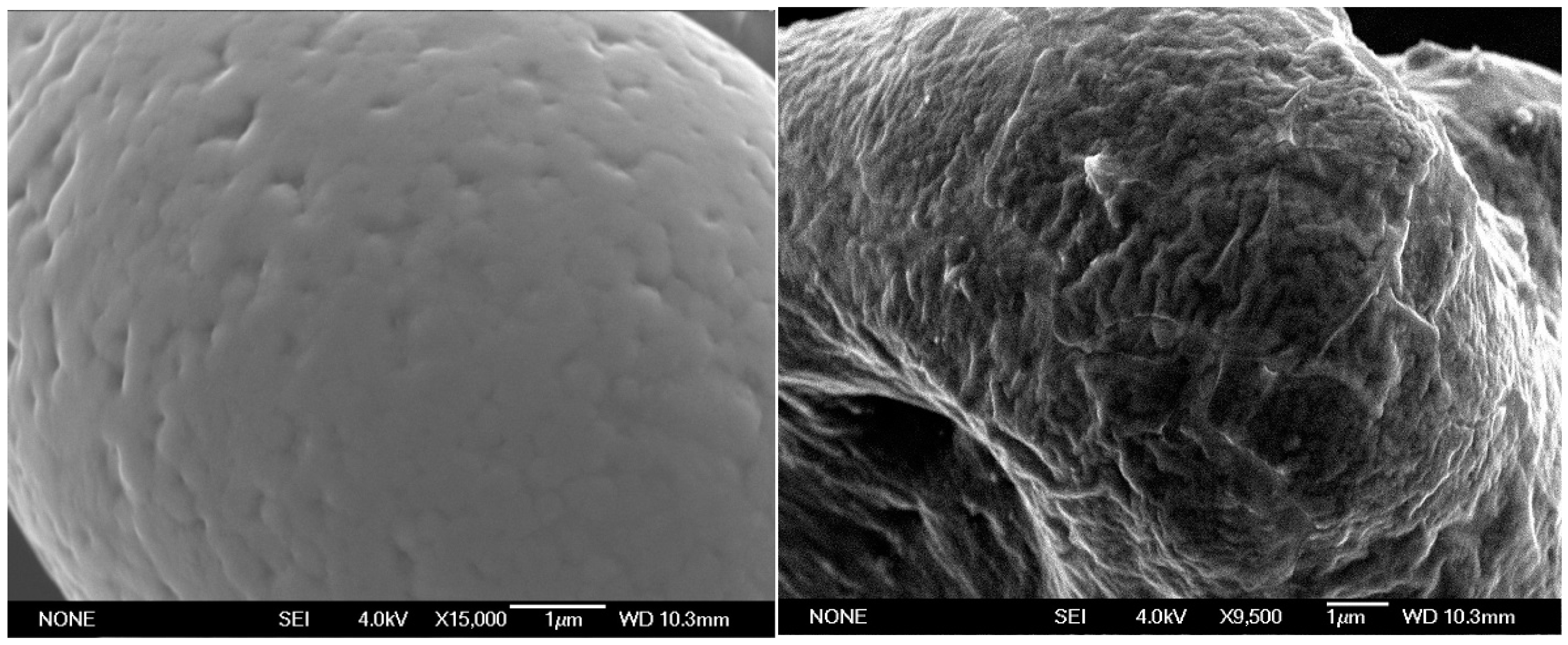 Molecules 20 12125 g002