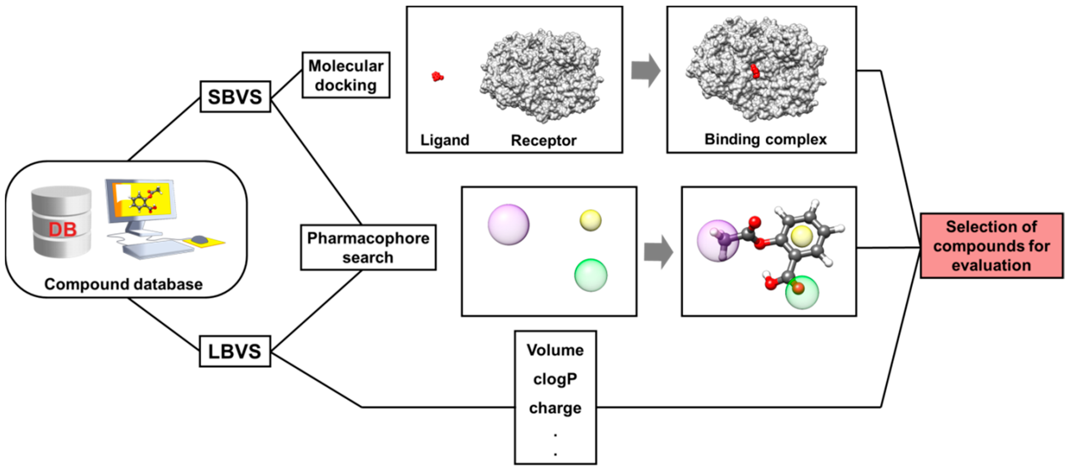 Molecules Free FullText Molecular Docking and StructureBased Drug