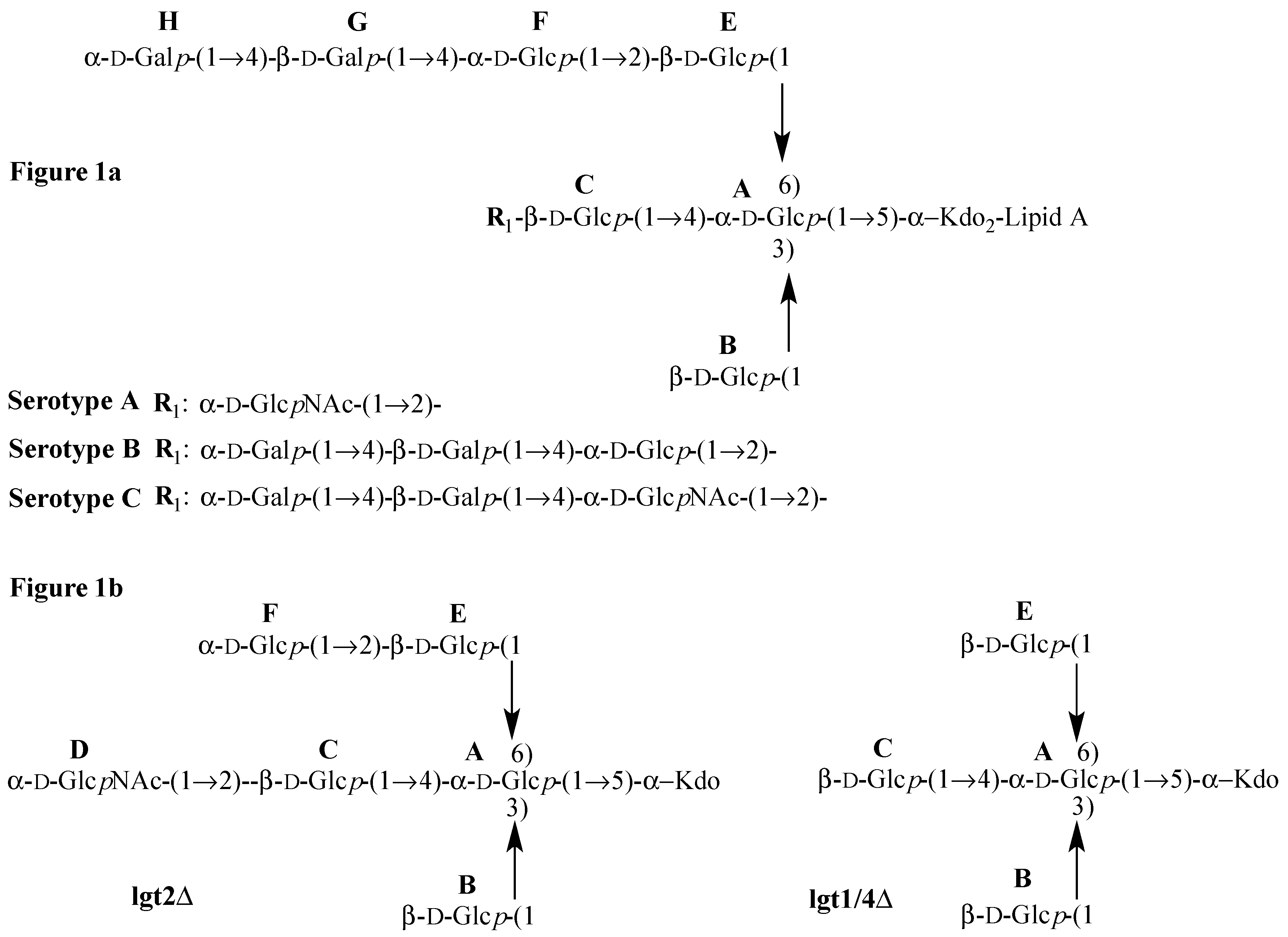 Molecules 20 14234 g001