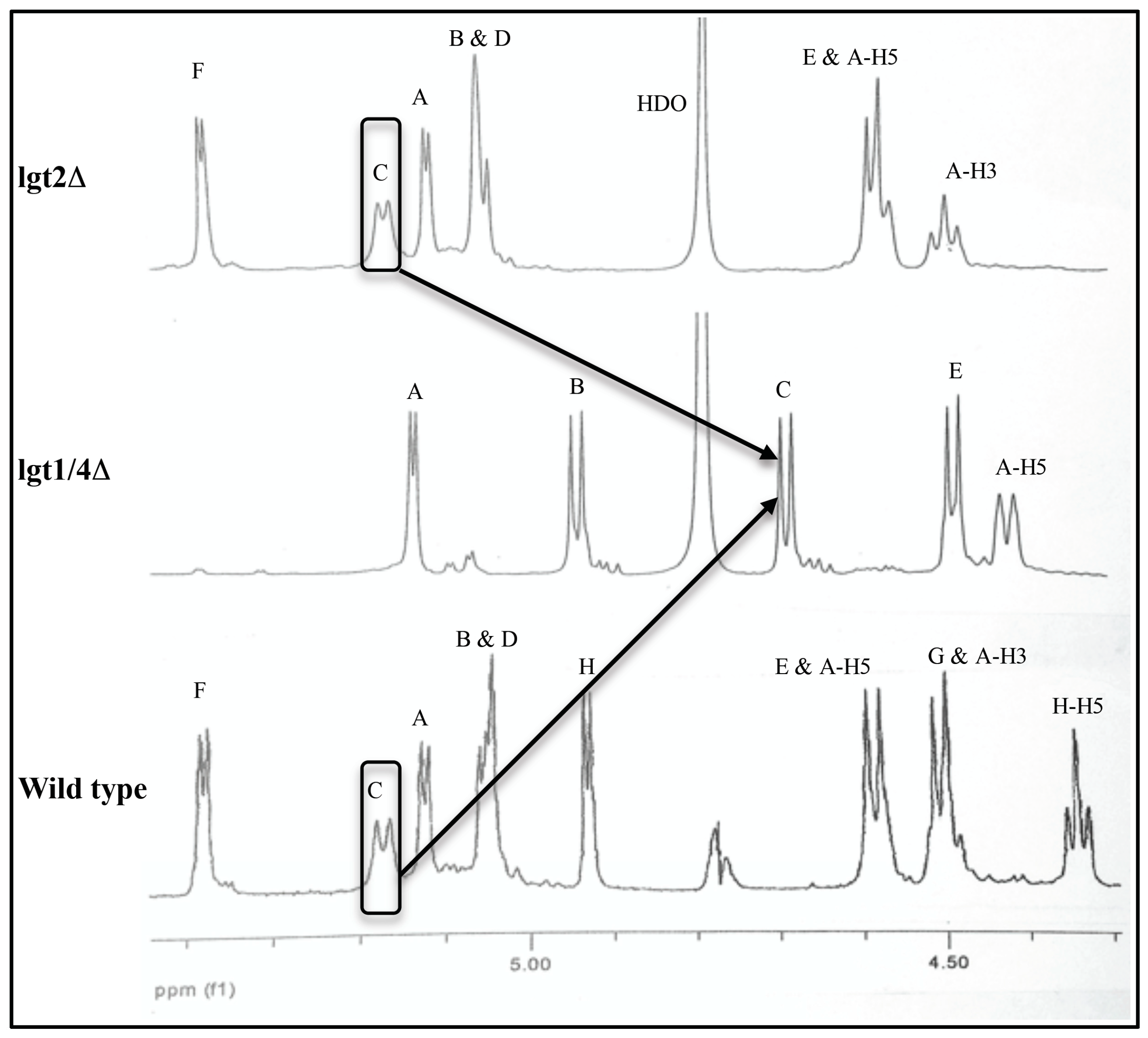 Molecules 20 14234 g002