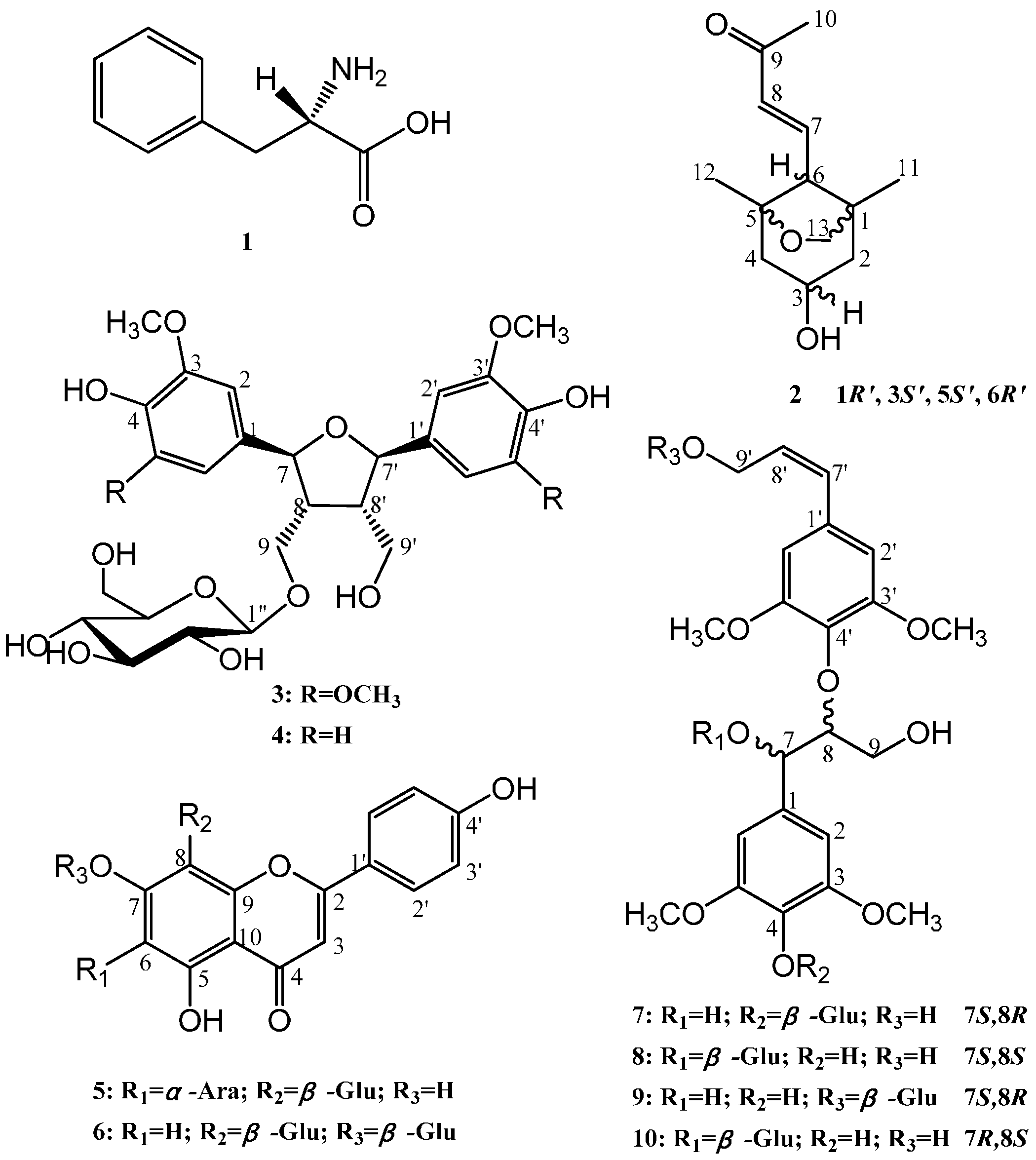 Molecules 20 15686 g001