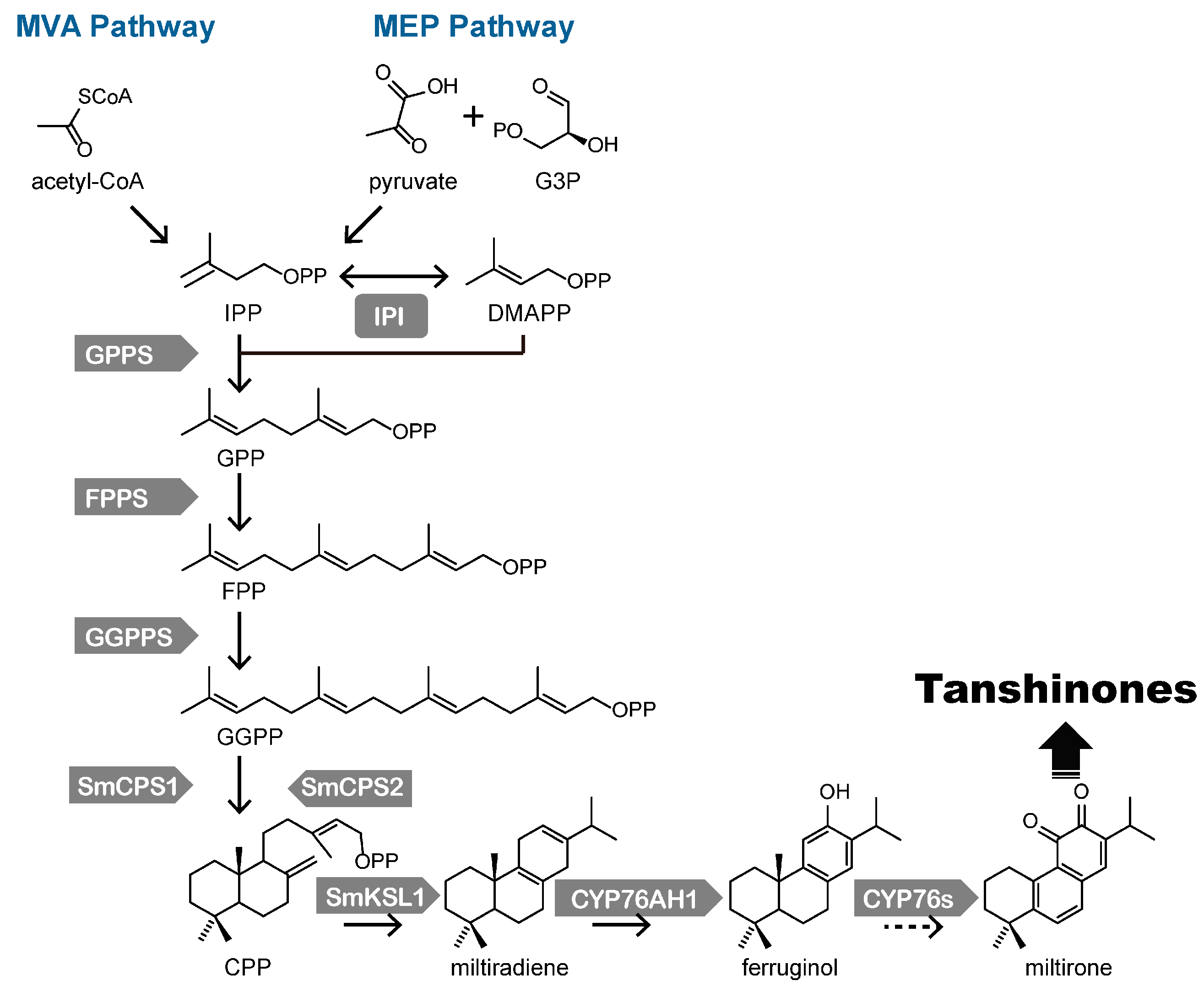 Molecules 20 16235 g001