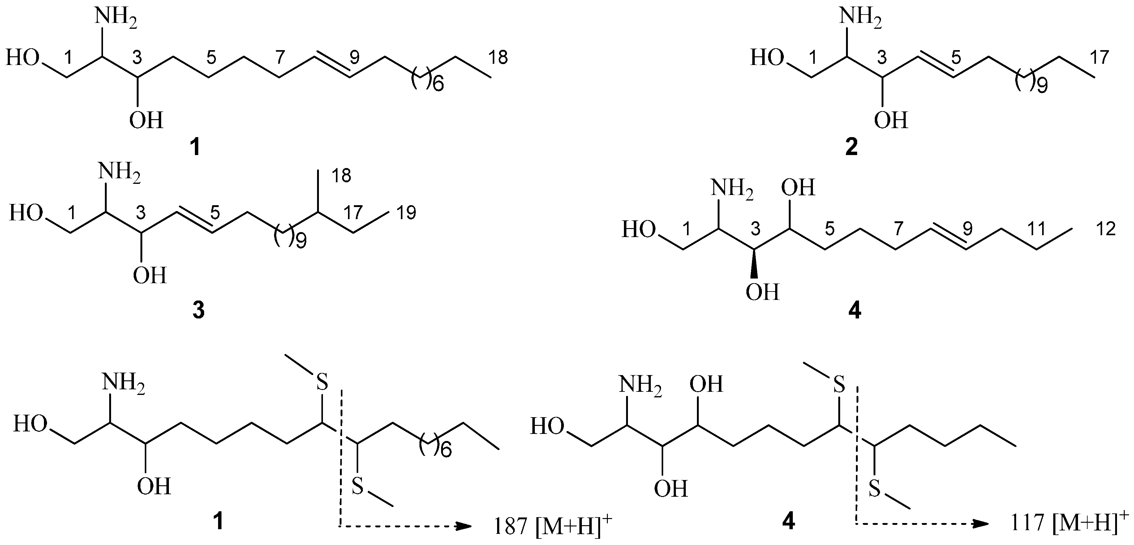 Antibacterial Activity Of Portulaca Oleracea Plants Antibacterial Activity Of Portulaca Oleracea Plants