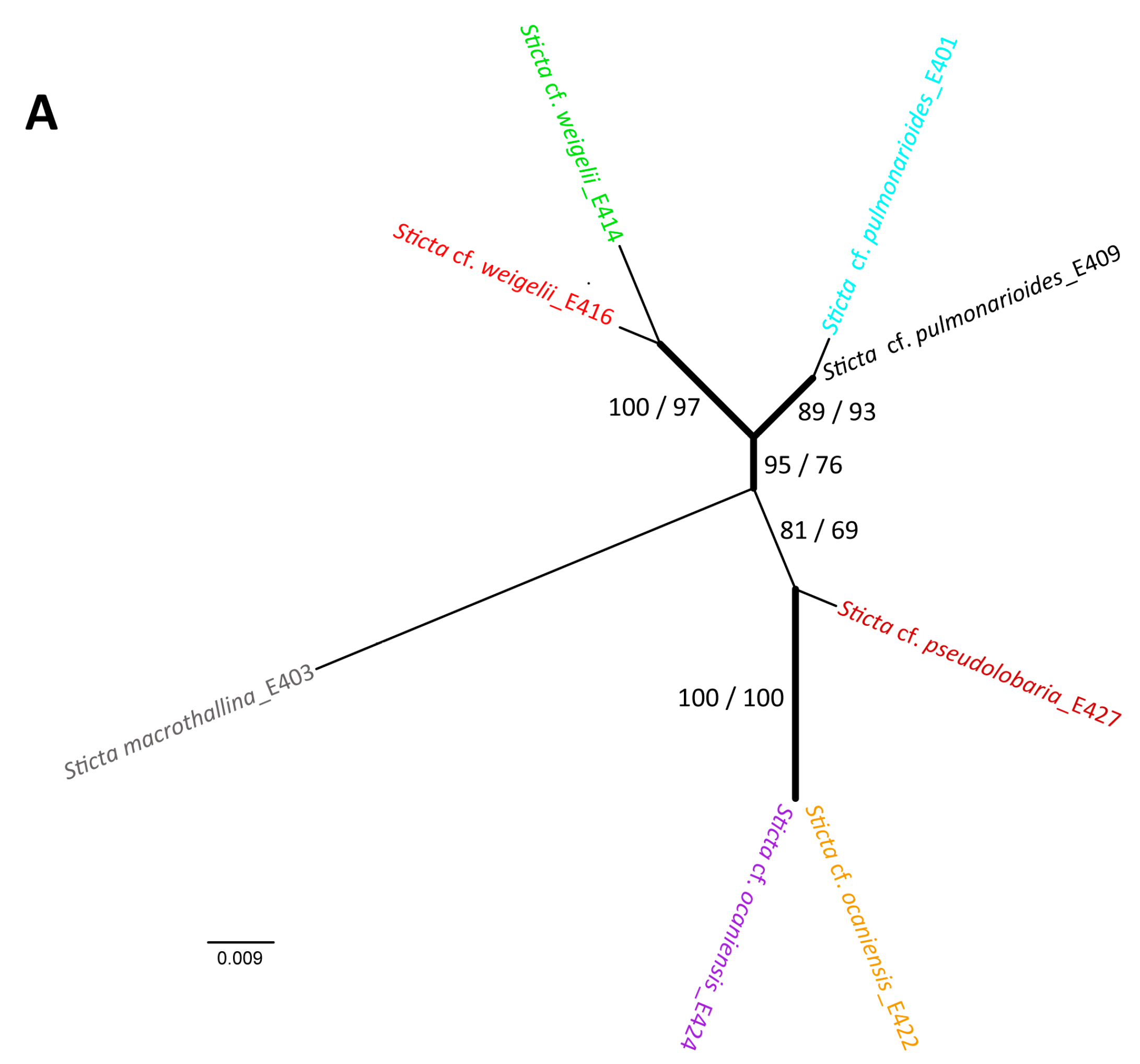 Molecules 20 18047 g009a