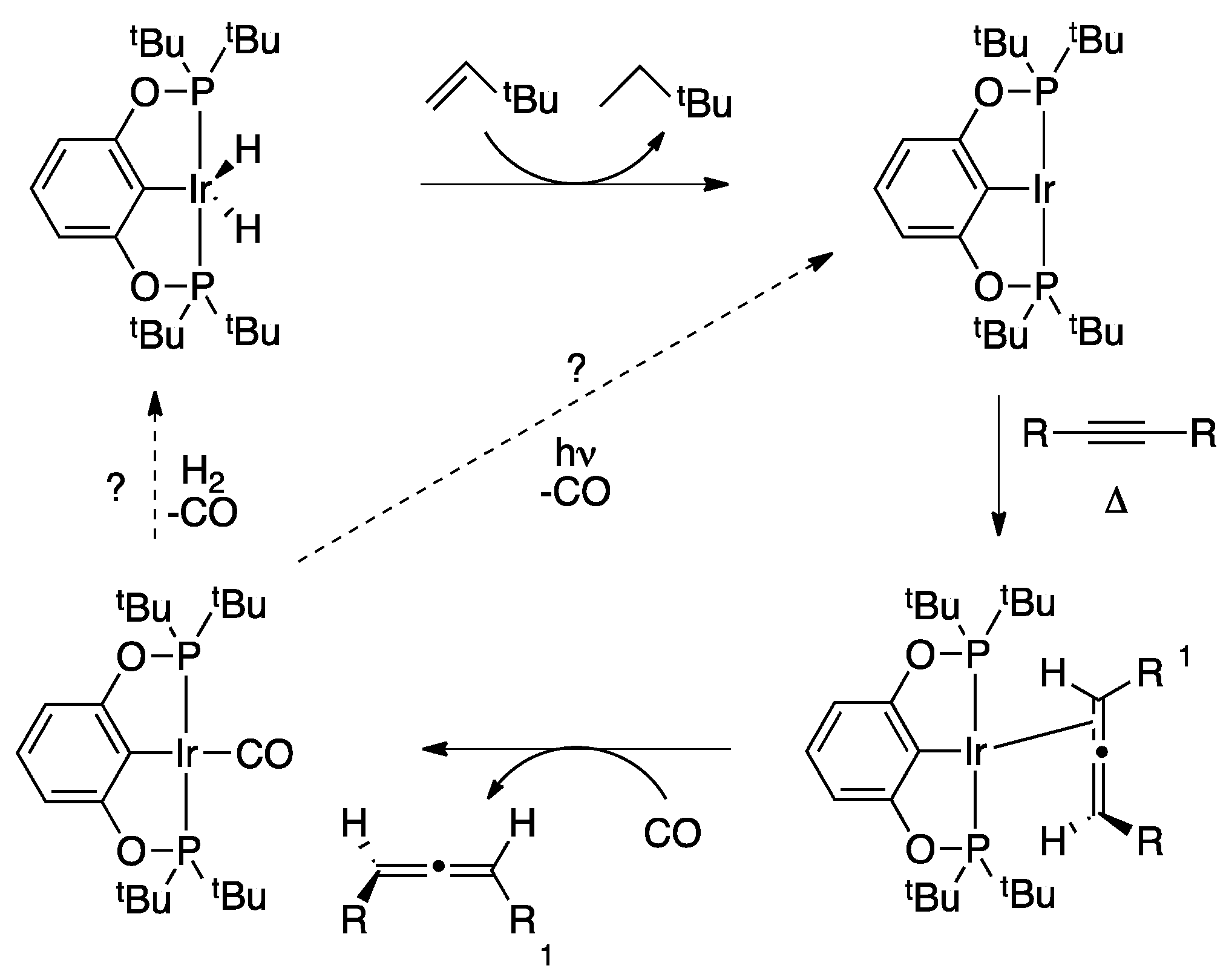 Molecules 20 19686 g006