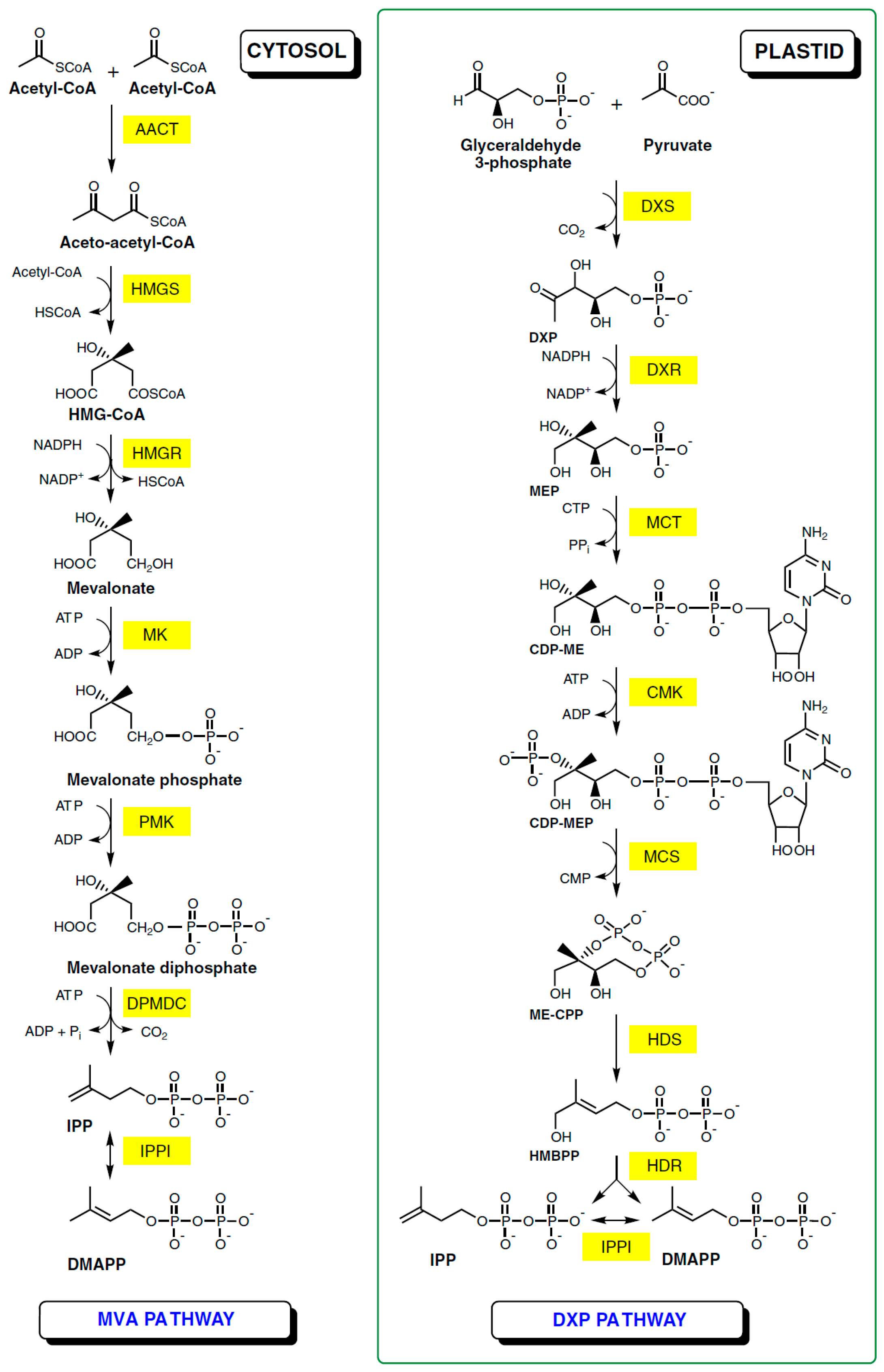 Molecules 20 19721 g002