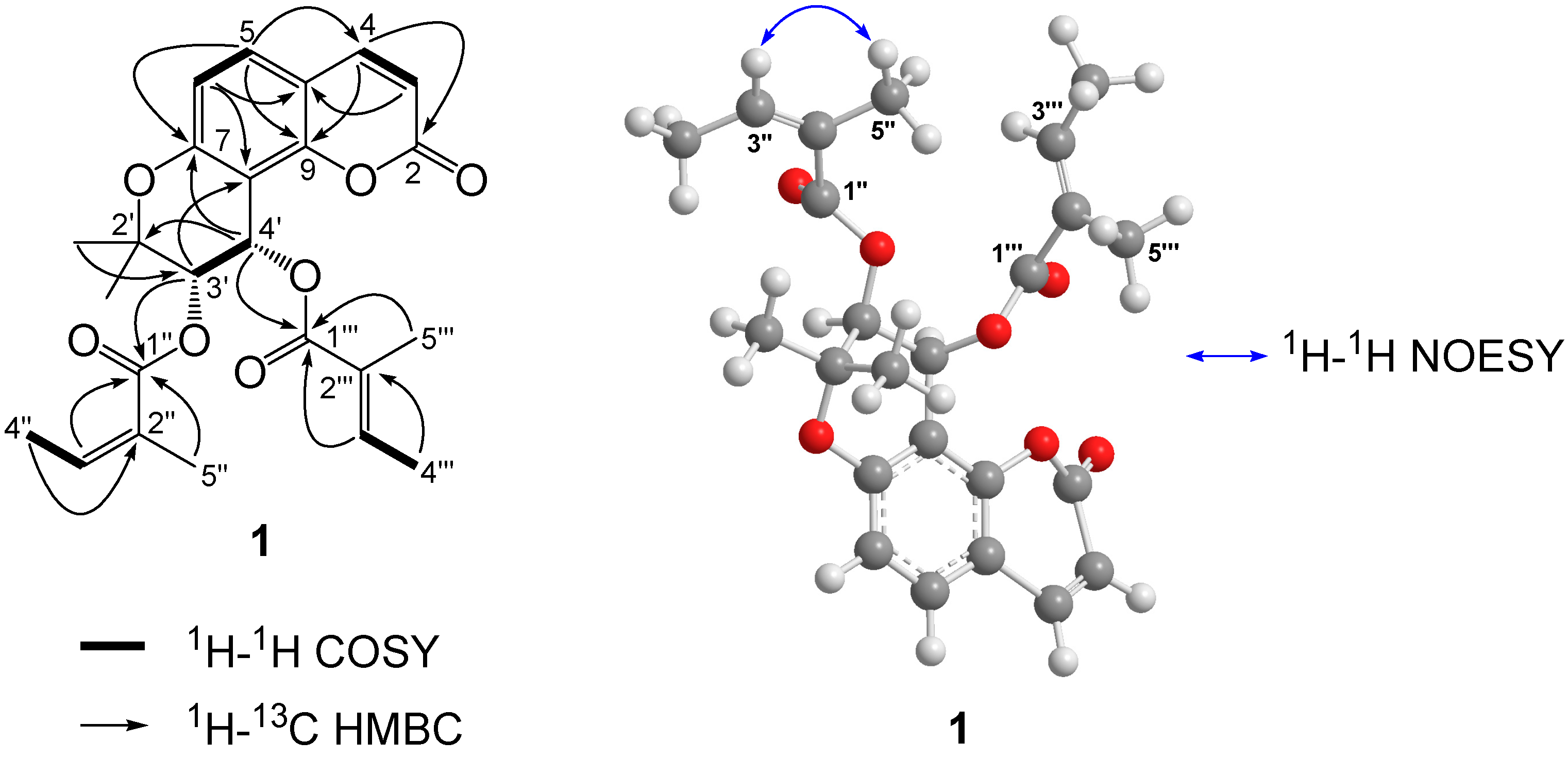 Molecules 20 19738 g002