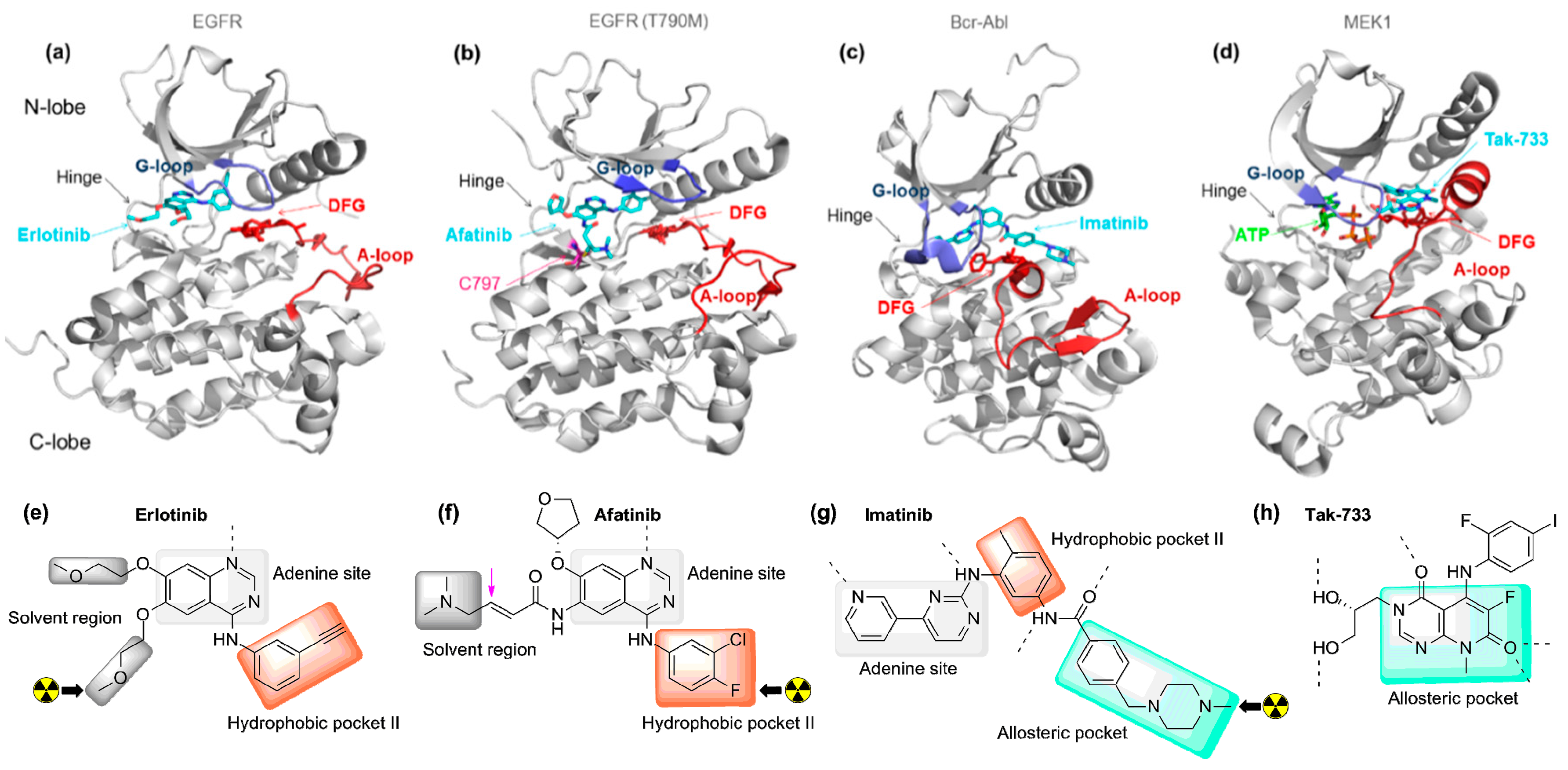 Molecules 20 19816 g001